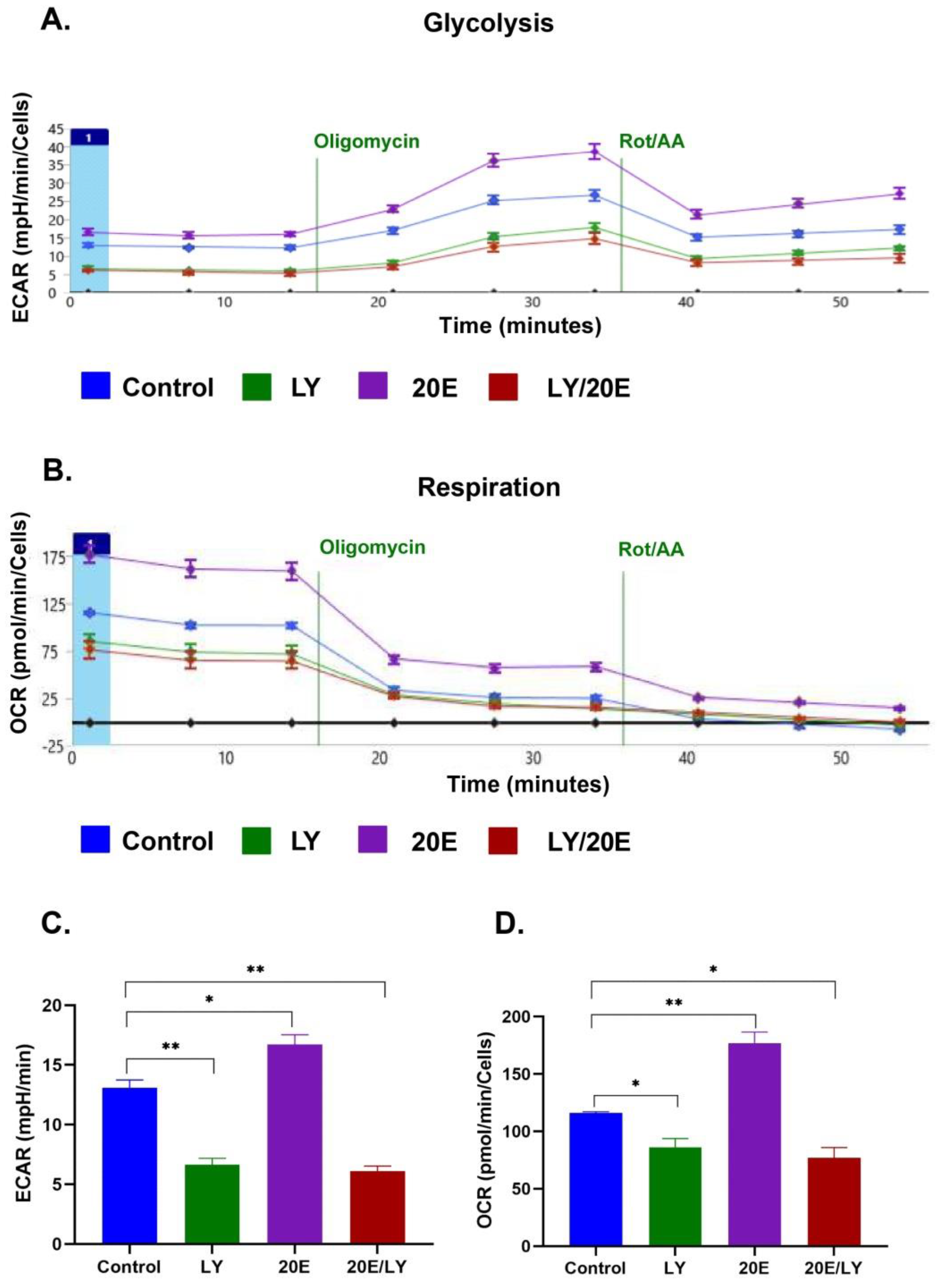 Antioxidants 13 01349 g010