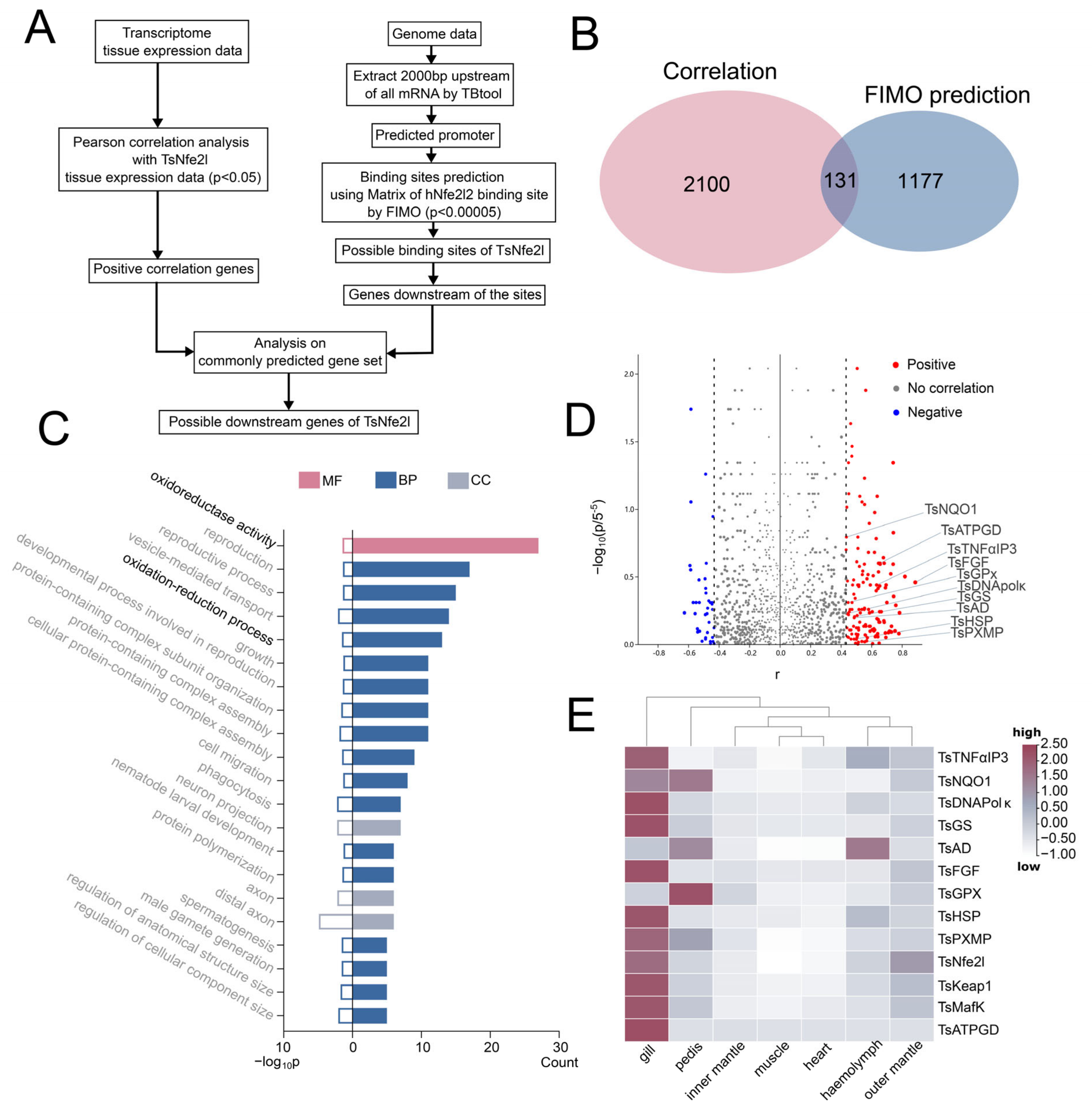 Antioxidants 13 01351 g003