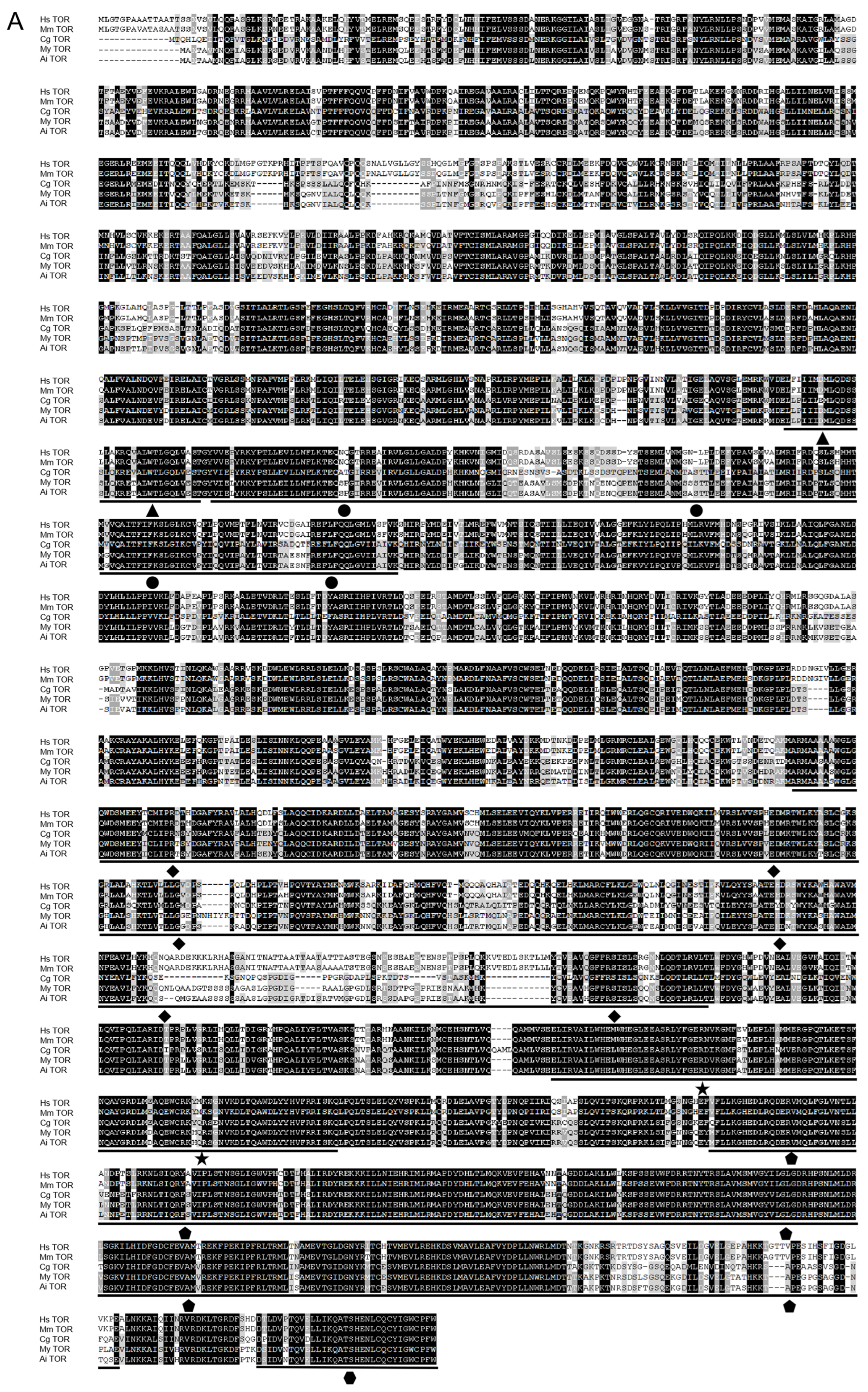 Antioxidants 13 01359 g004a