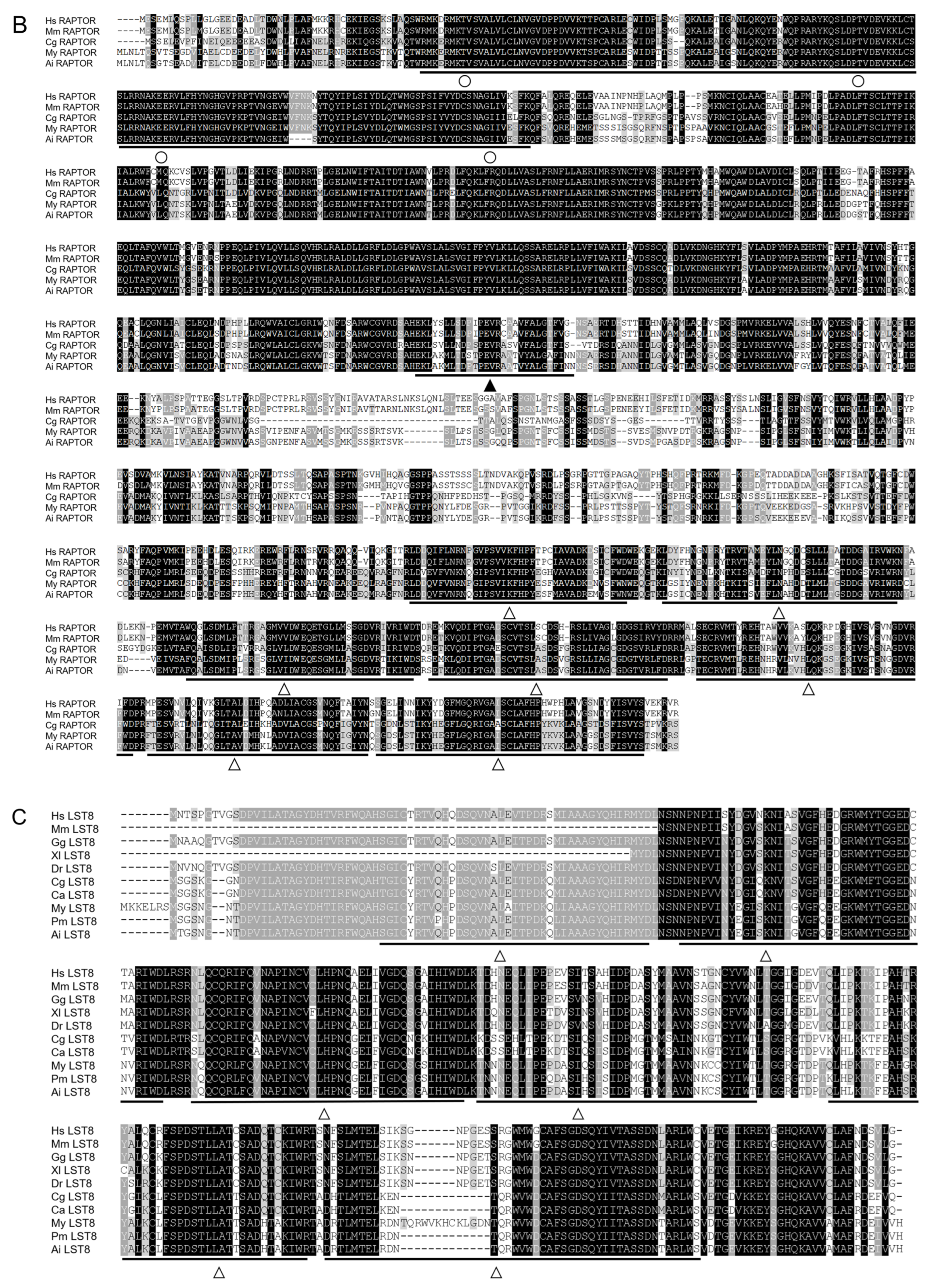 Antioxidants 13 01359 g004b