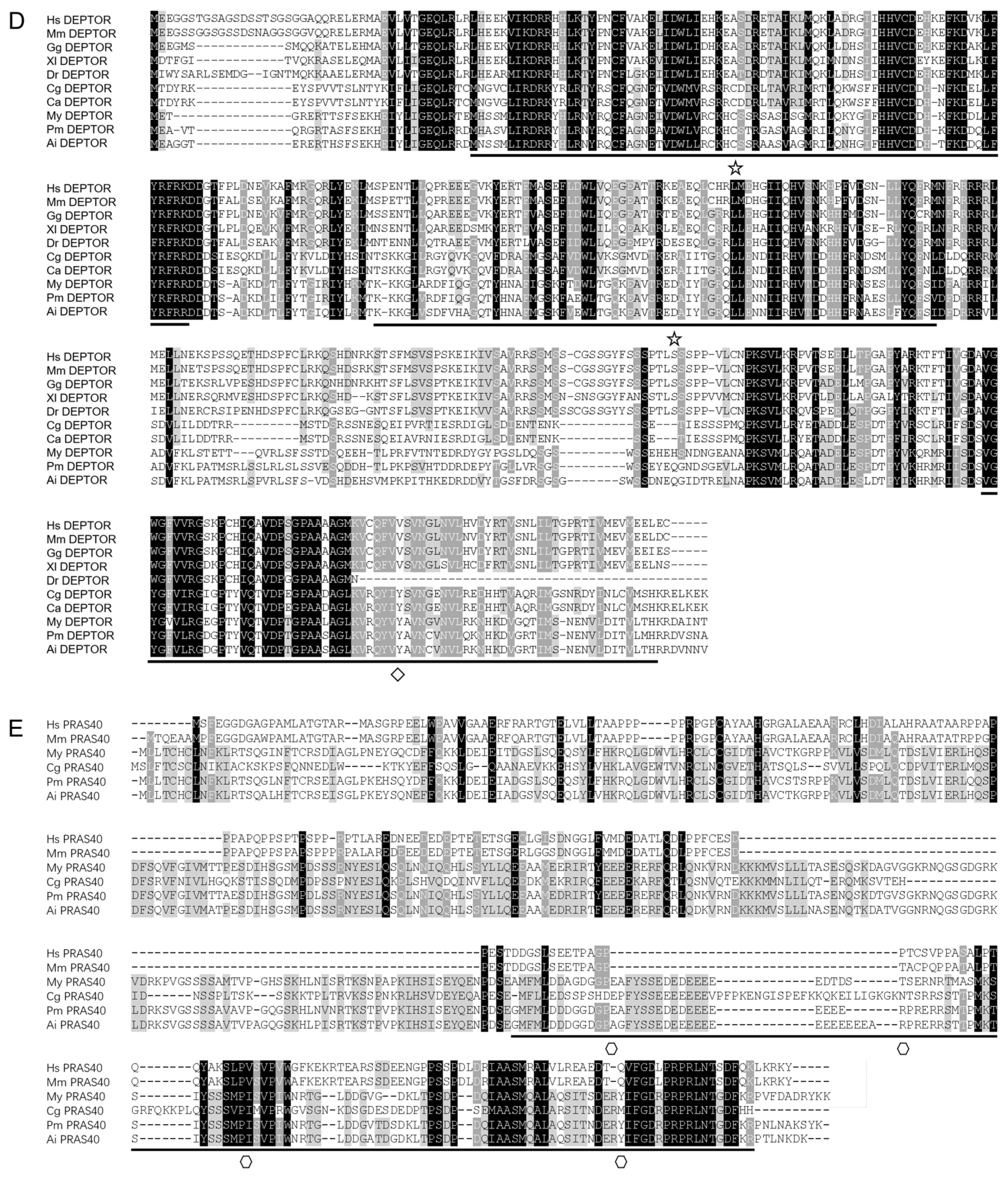 Antioxidants 13 01359 g004c