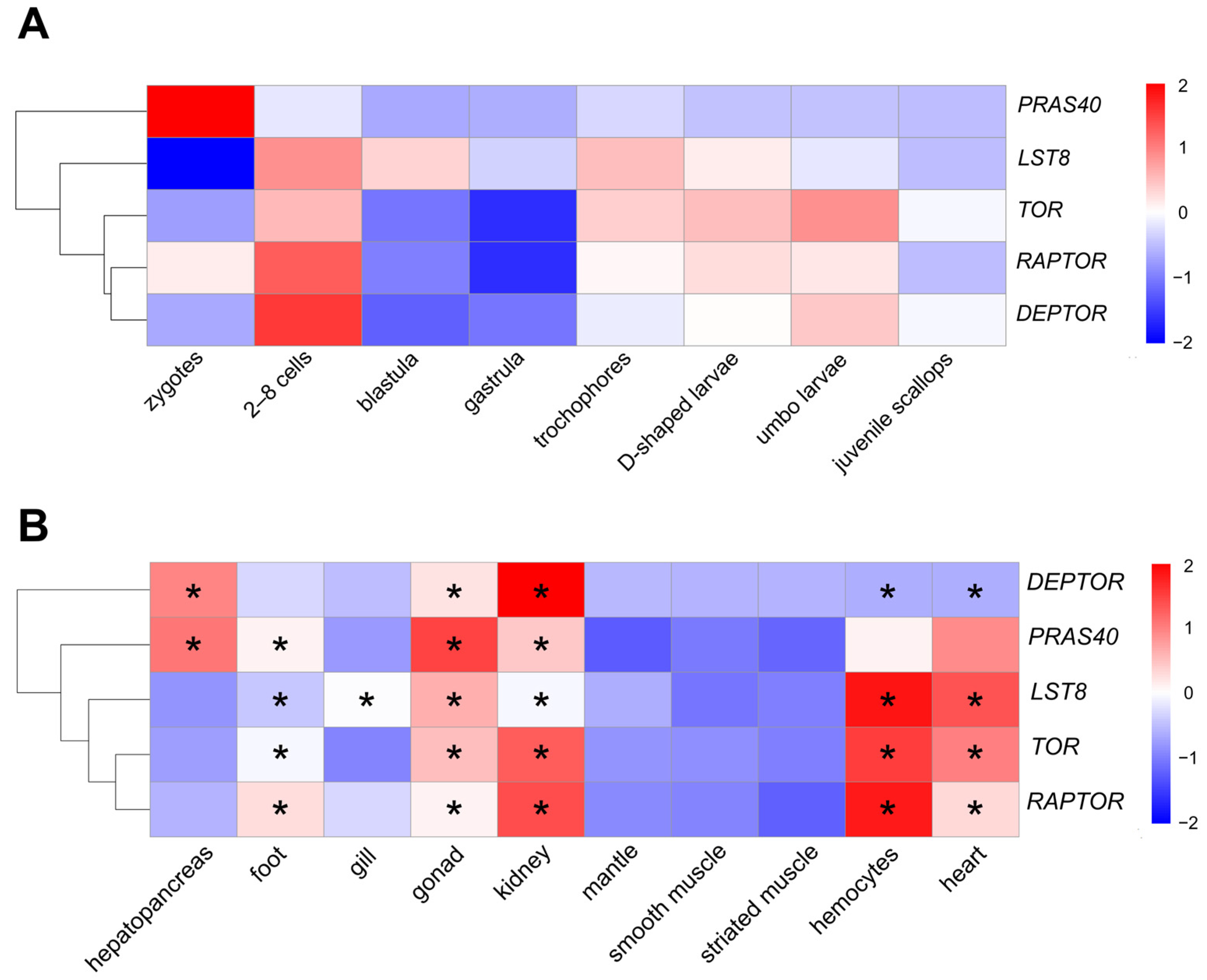 Antioxidants 13 01359 g006