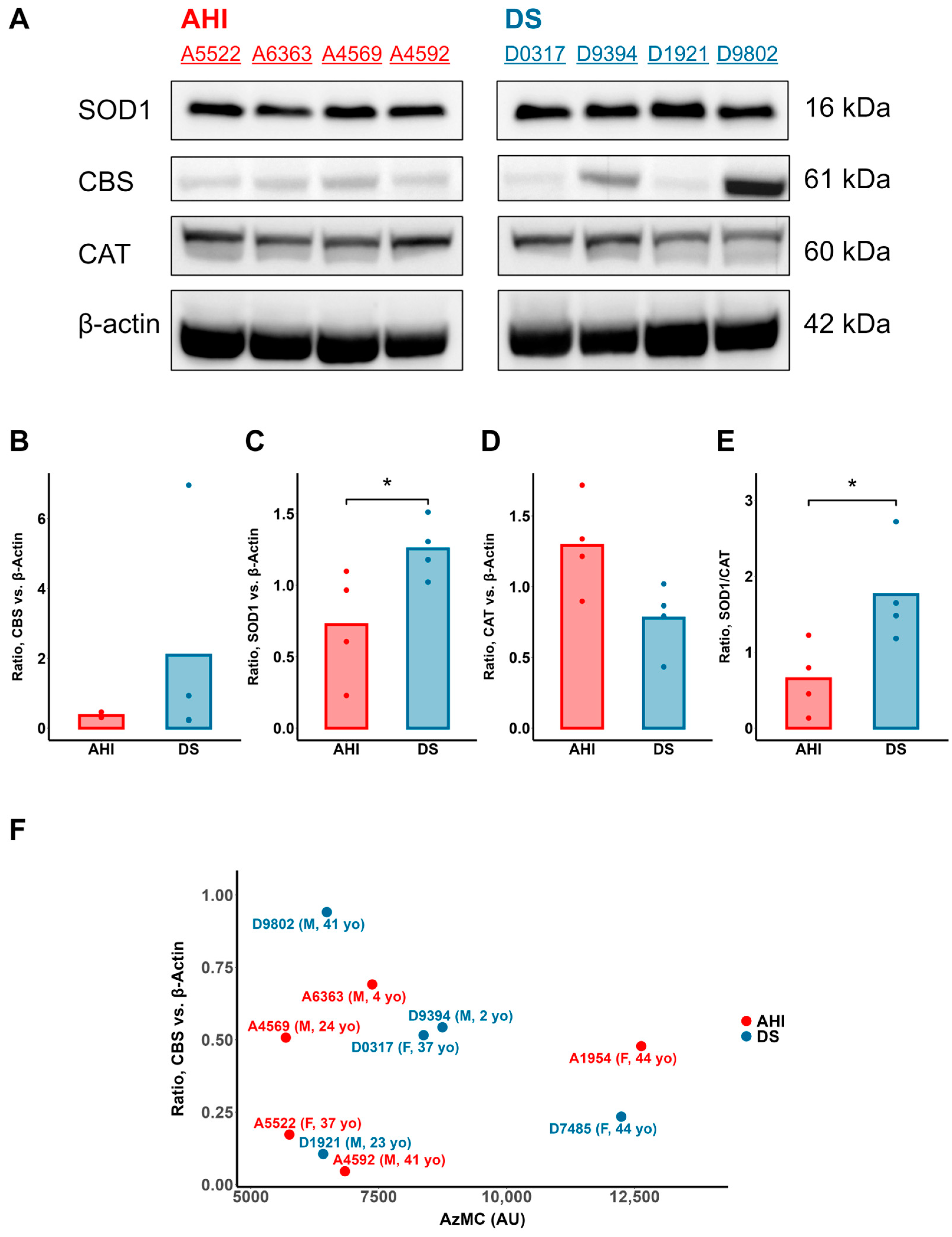 Antioxidants 13 01361 g002