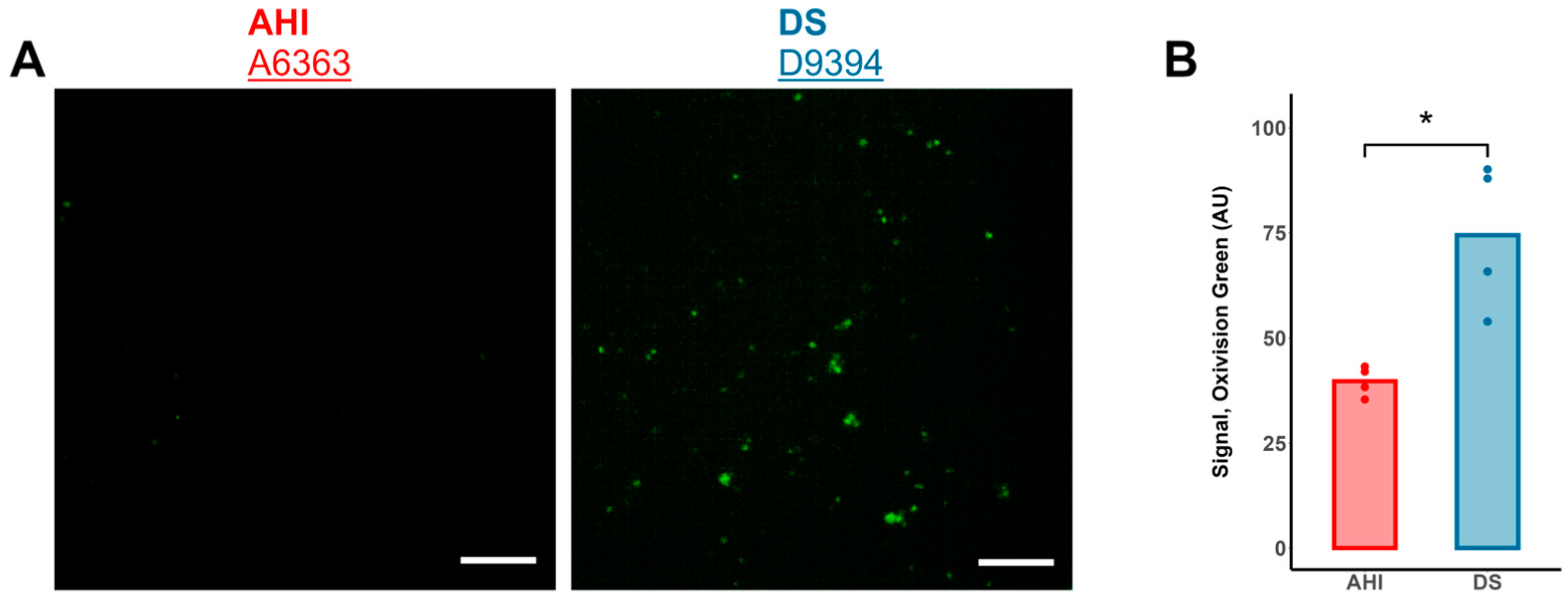 Antioxidants 13 01361 g005