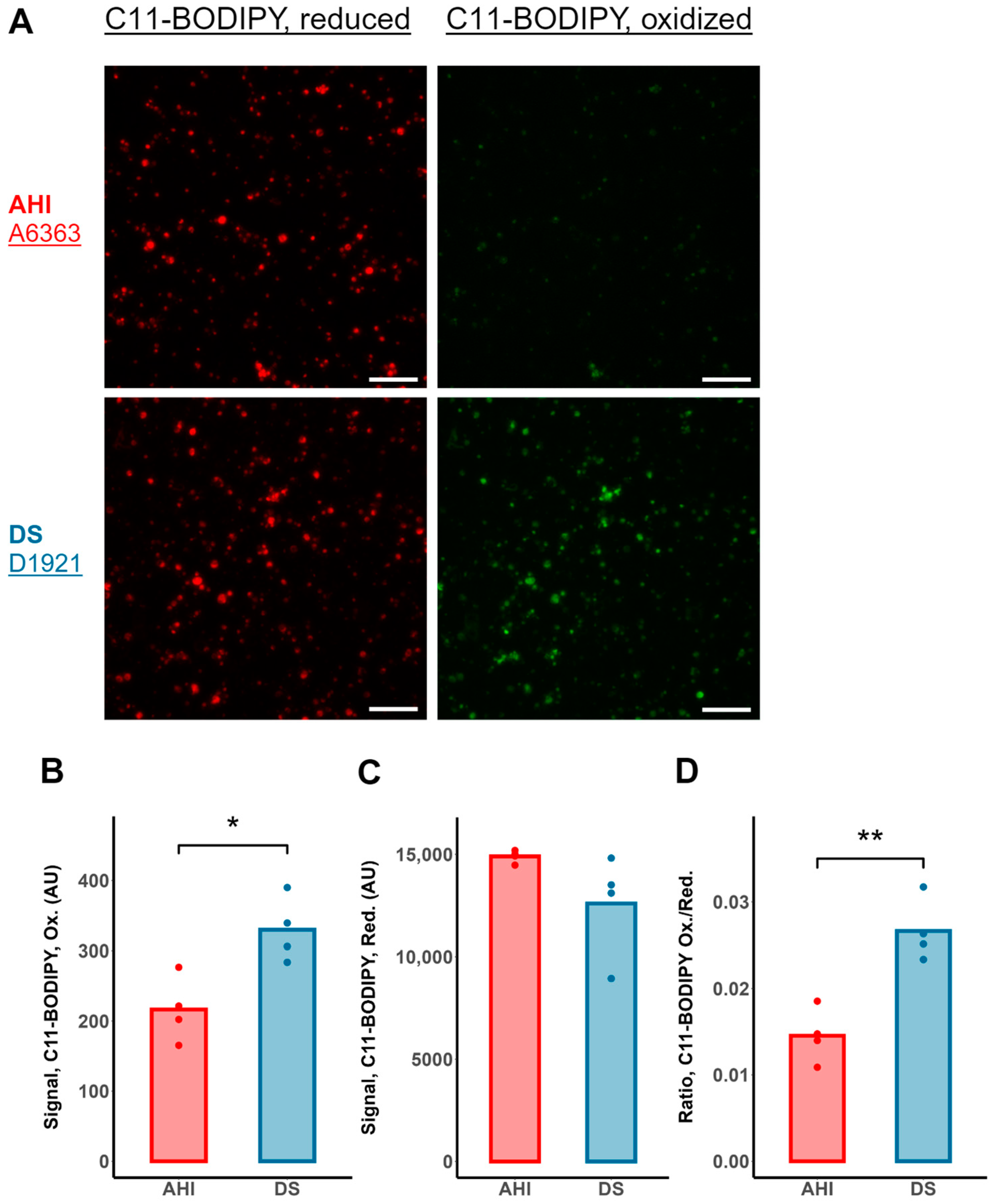 Antioxidants 13 01361 g006