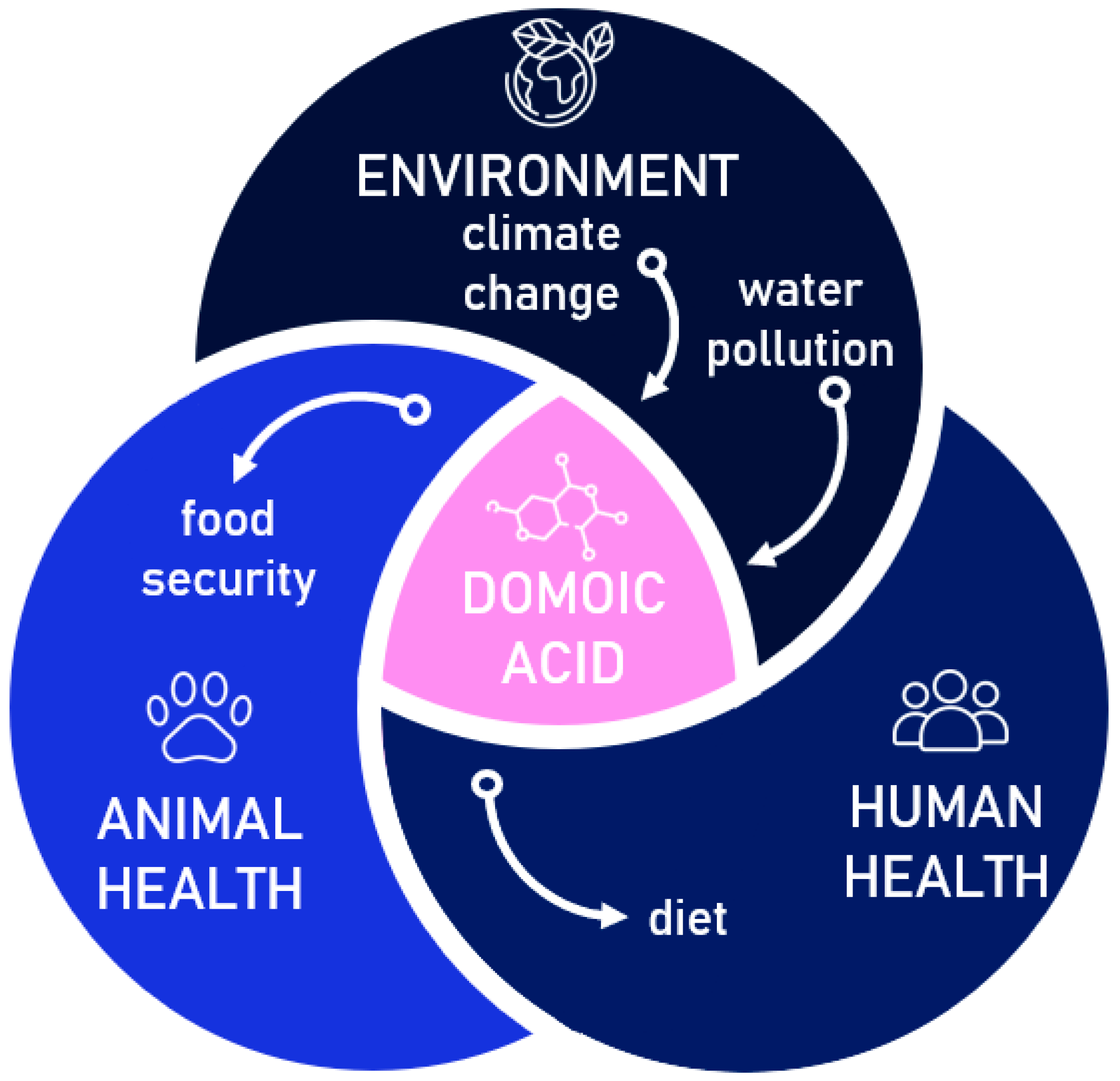 Antioxidants 13 01366 g003