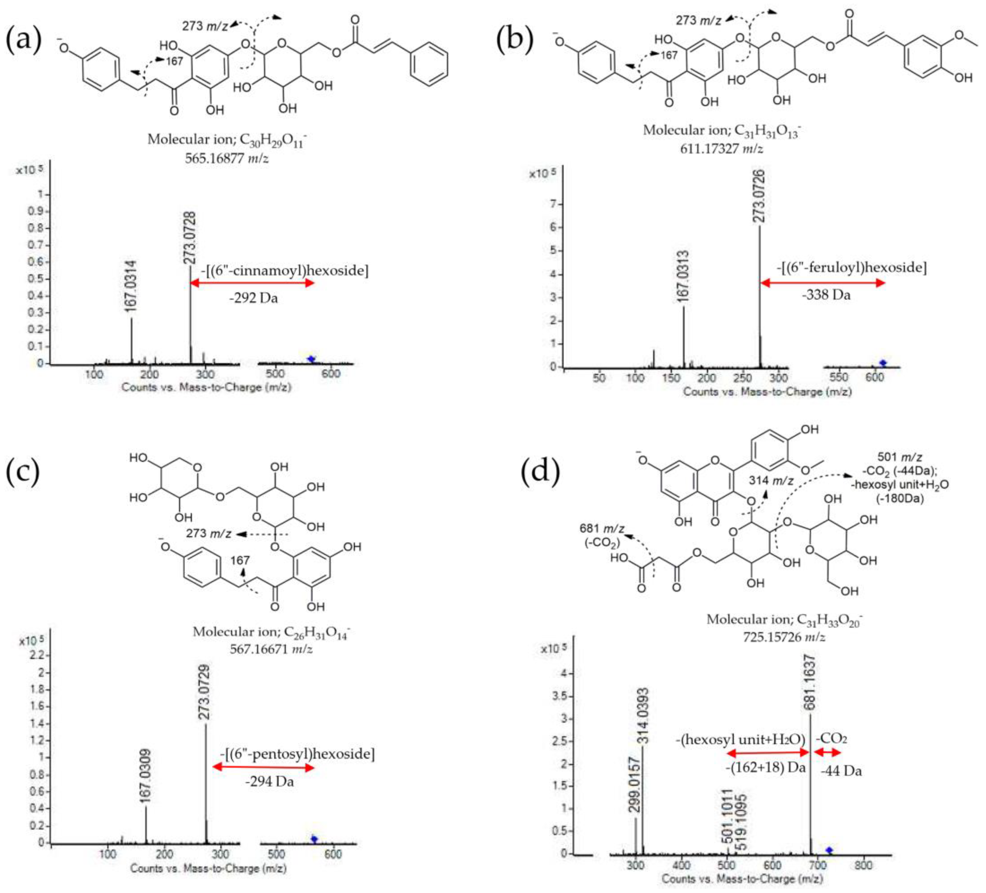 Antioxidants 13 01374 g002