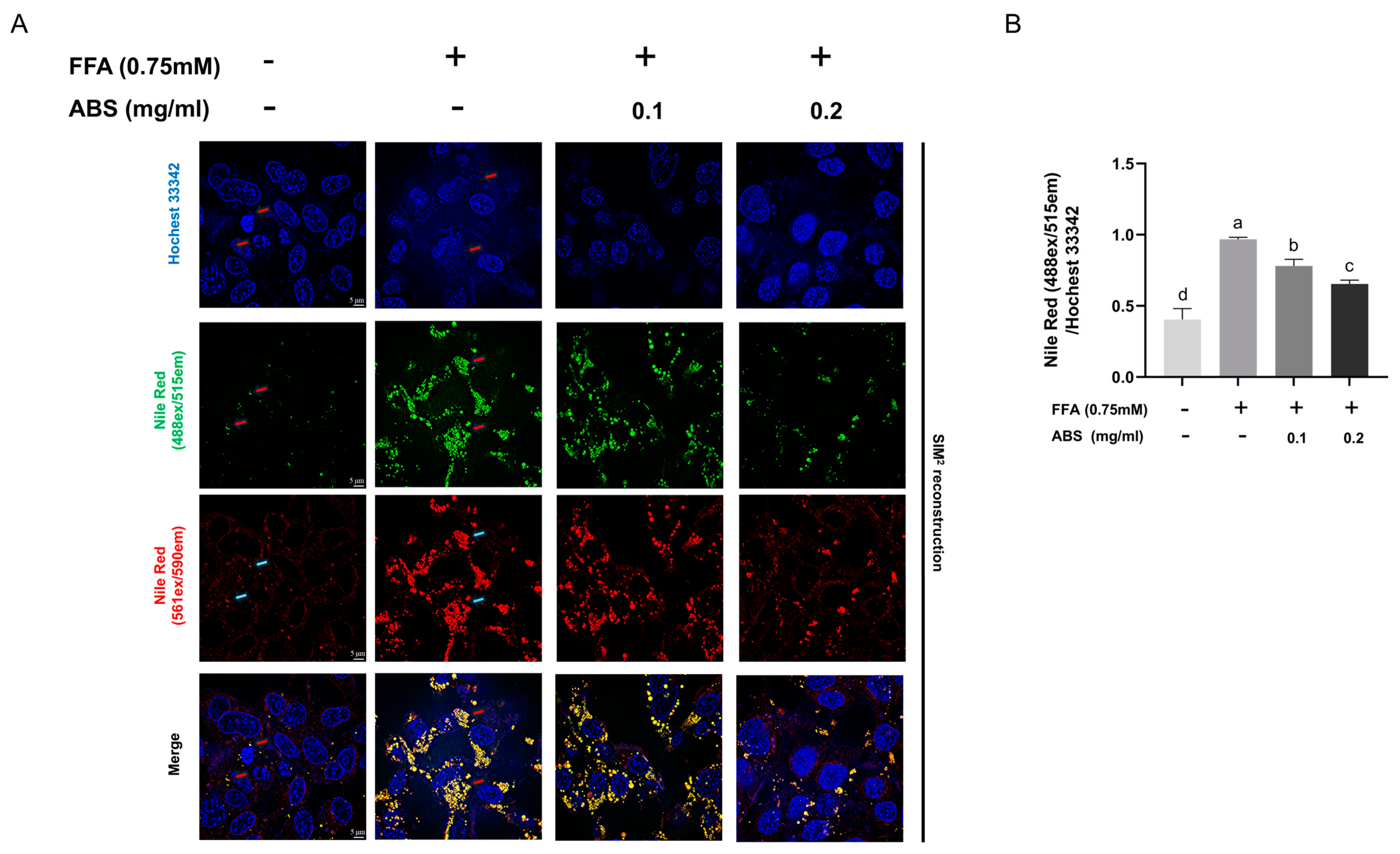 Antioxidants 13 01380 g006