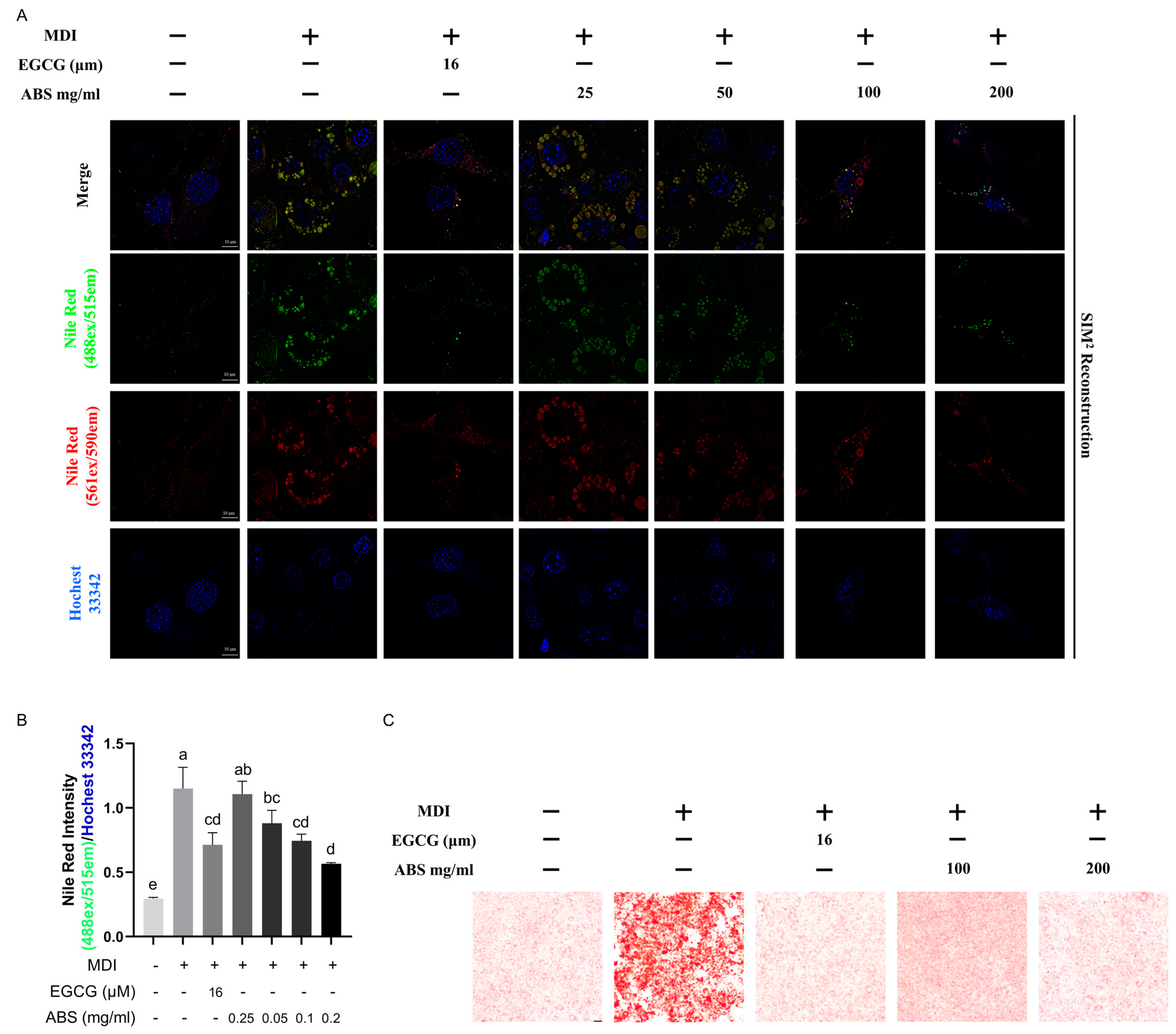 Antioxidants 13 01380 g013