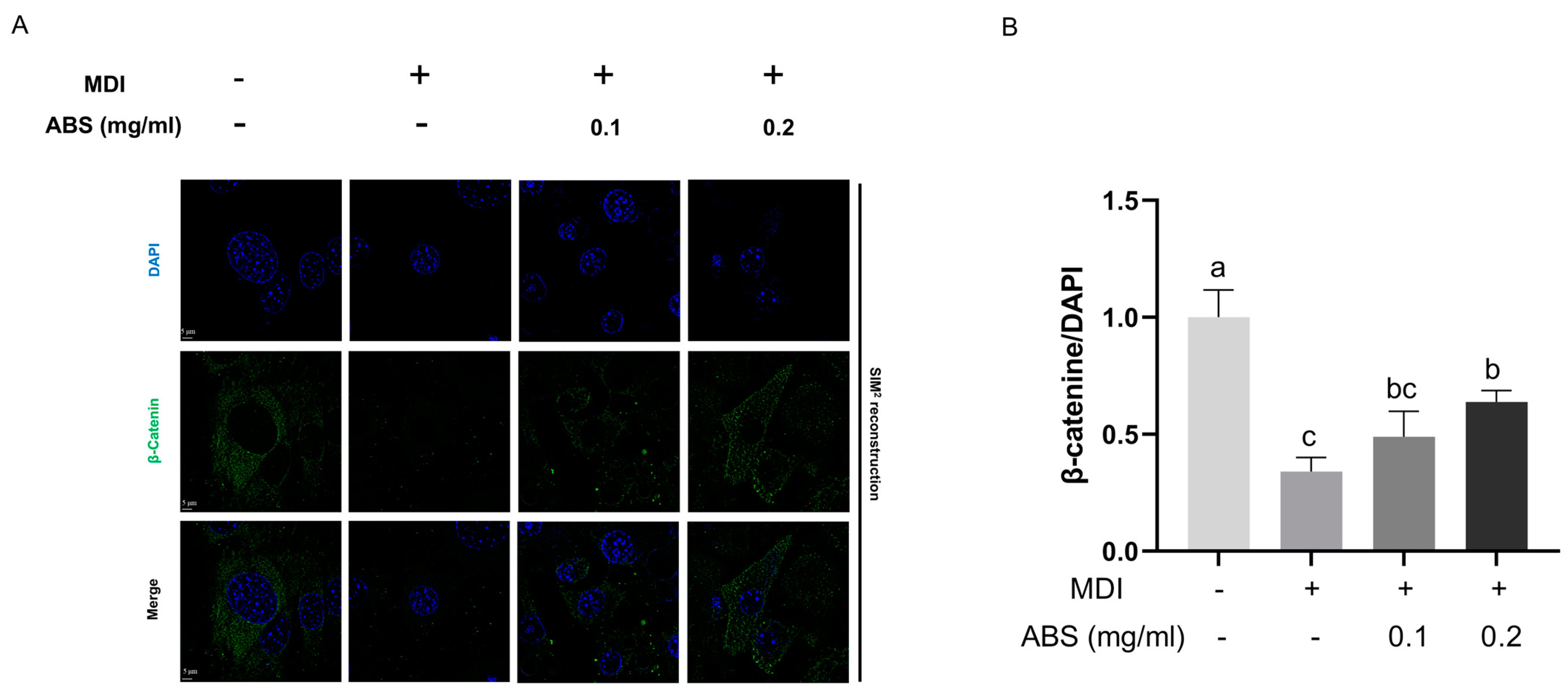 Antioxidants 13 01380 g014