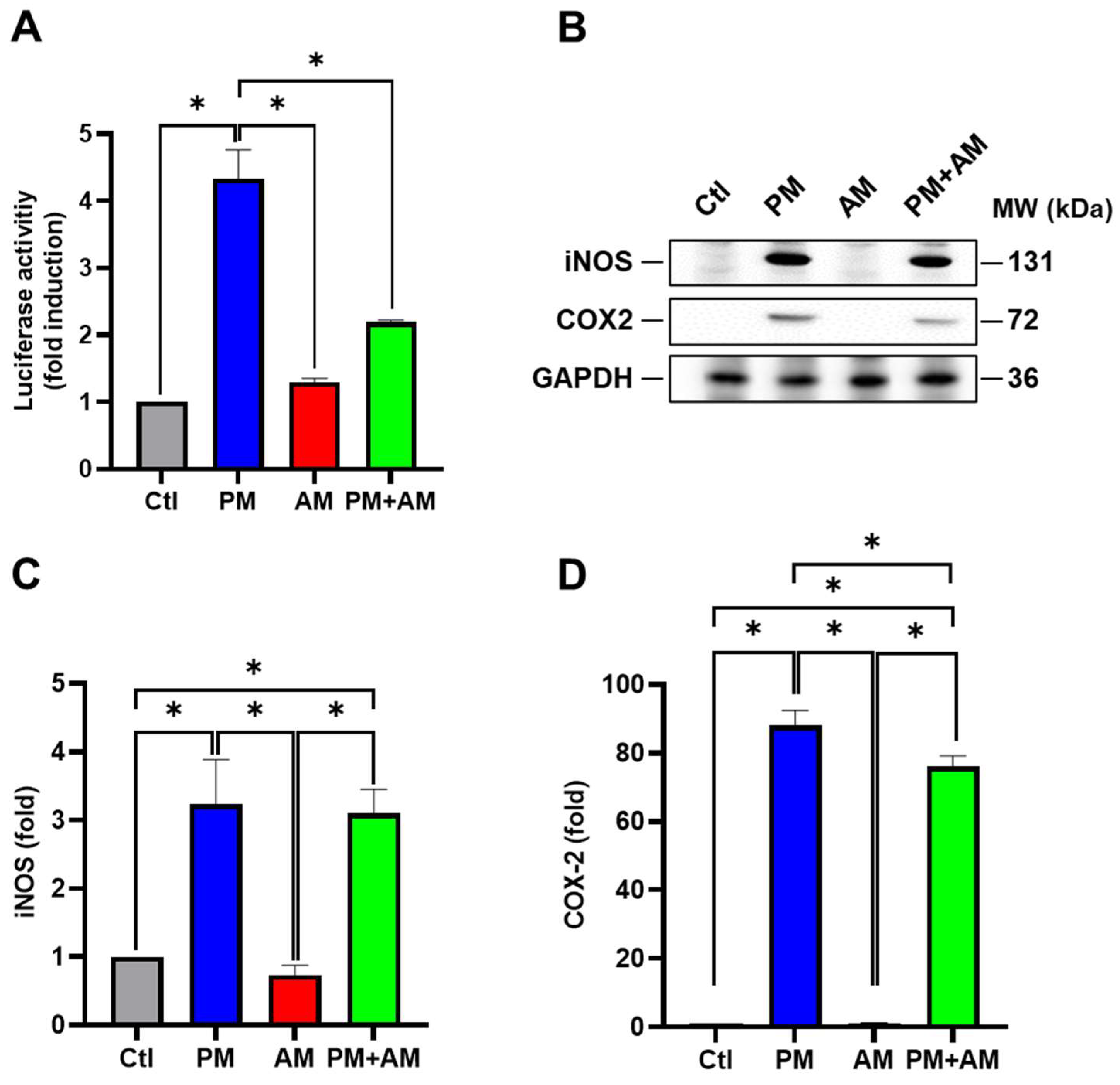Antioxidants 13 01381 g002