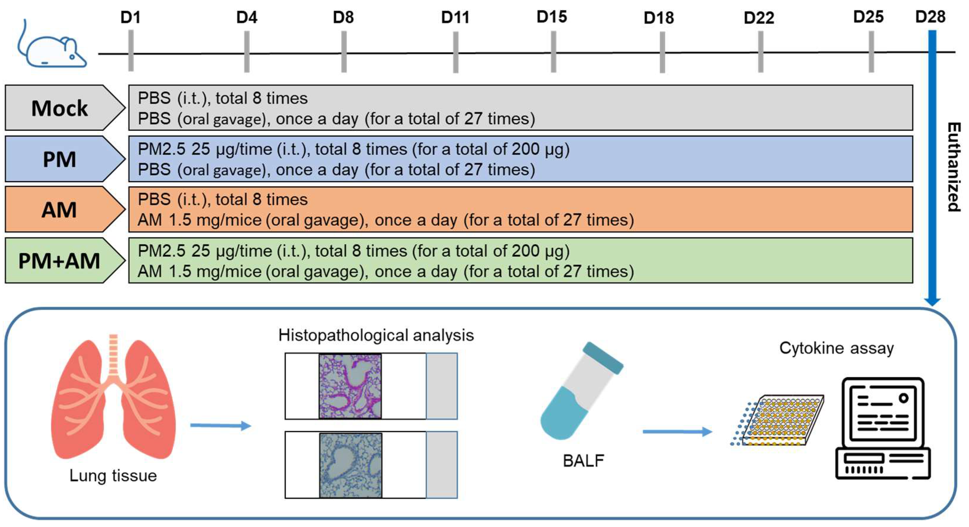 Antioxidants 13 01381 g004