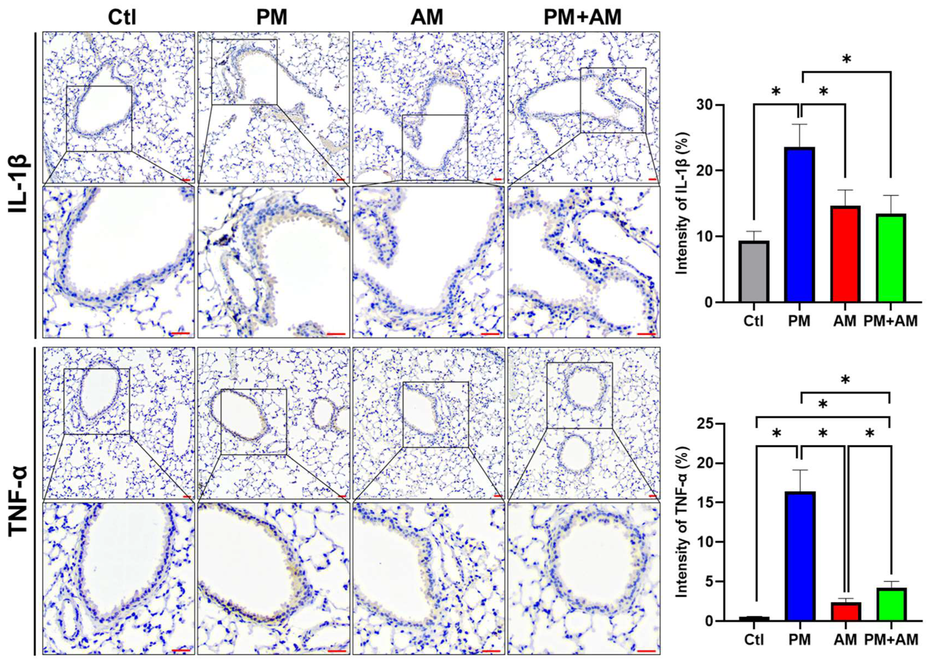 Antioxidants 13 01381 g007