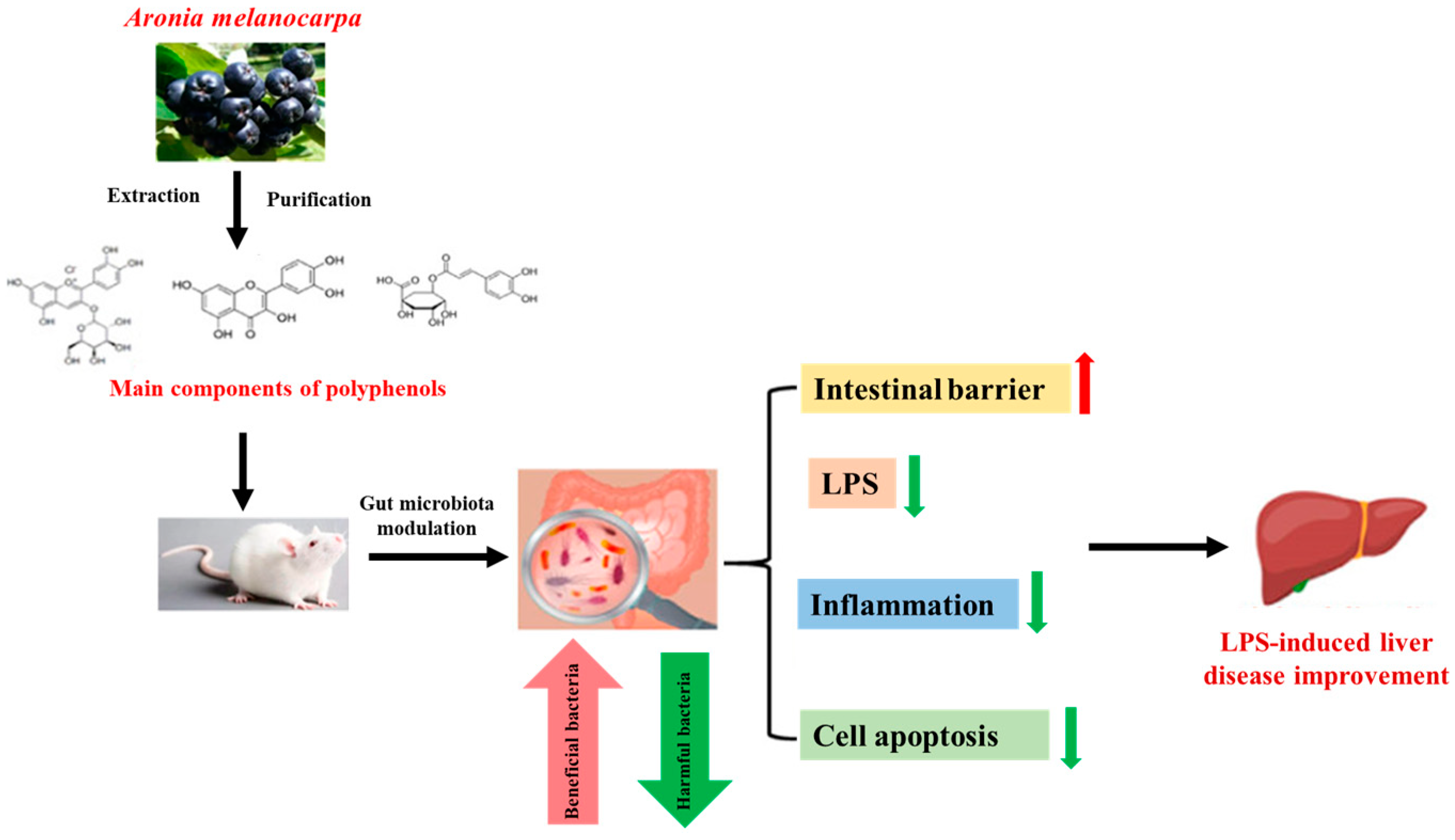 Antioxidants 13 01389 g005