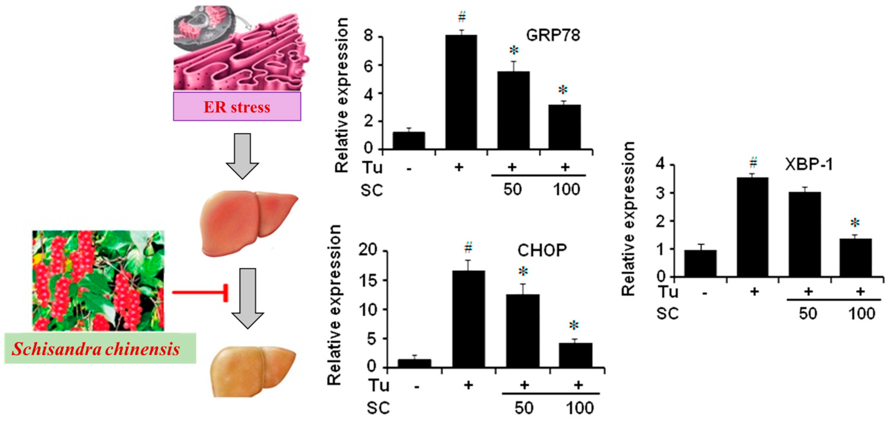 Antioxidants 13 01389 g008