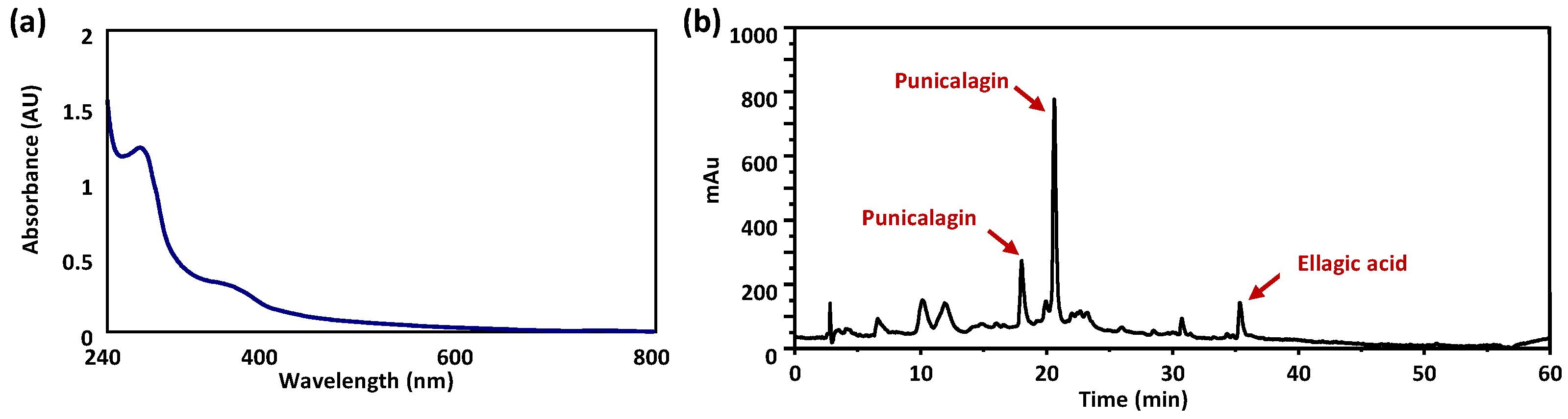 Antioxidants 13 01394 g002
