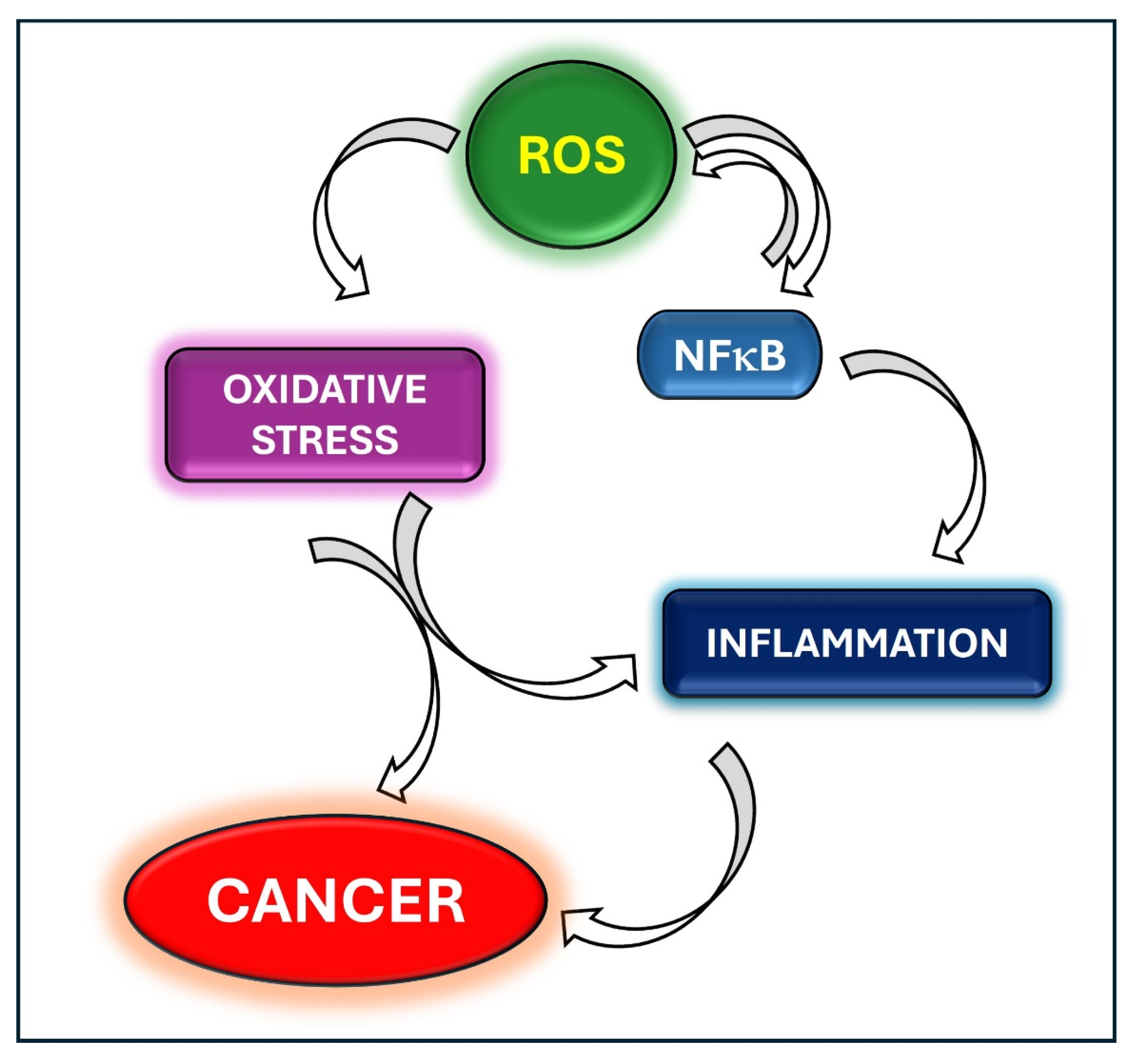 Antioxidants 13 01403 g001