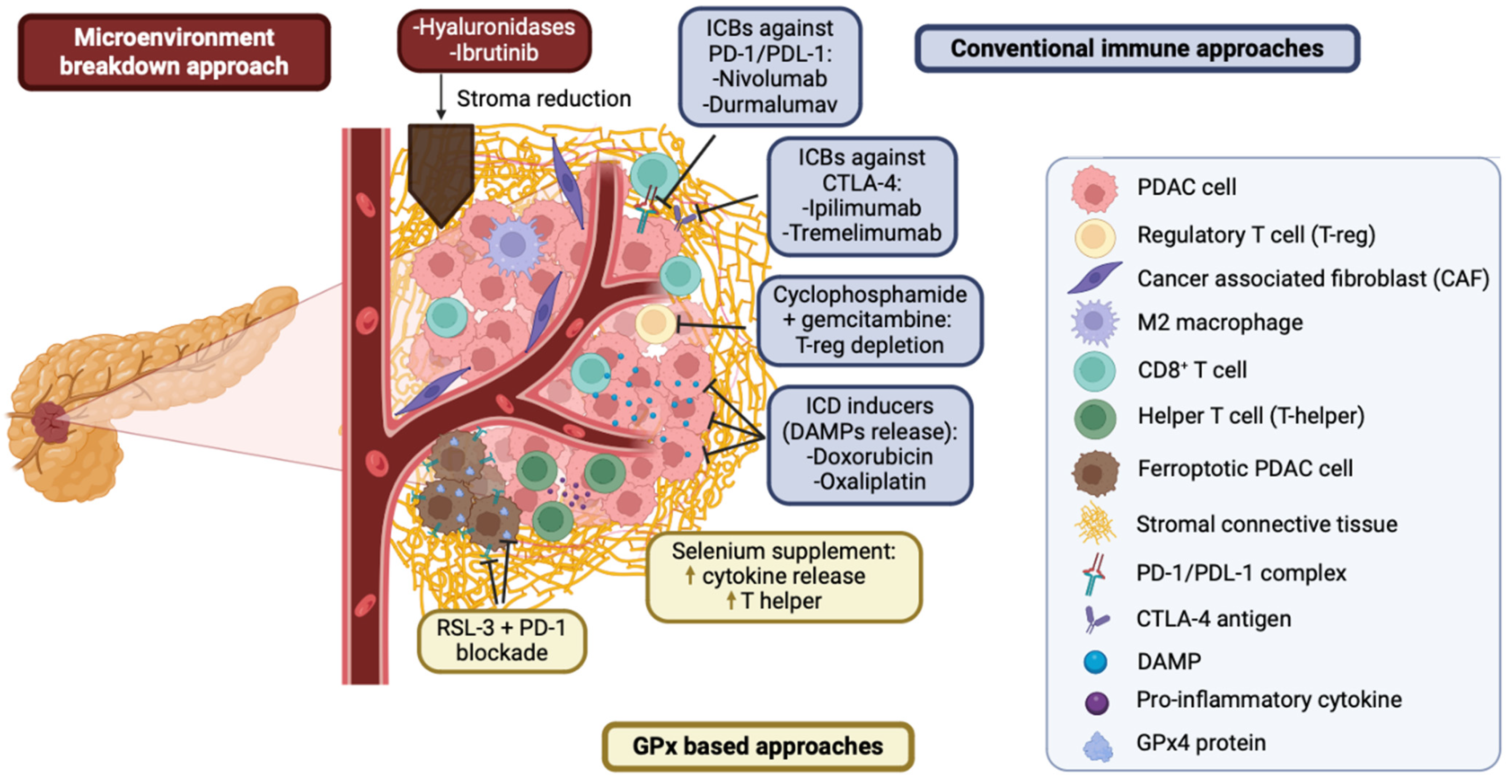 Antioxidants 13 01405 g002
