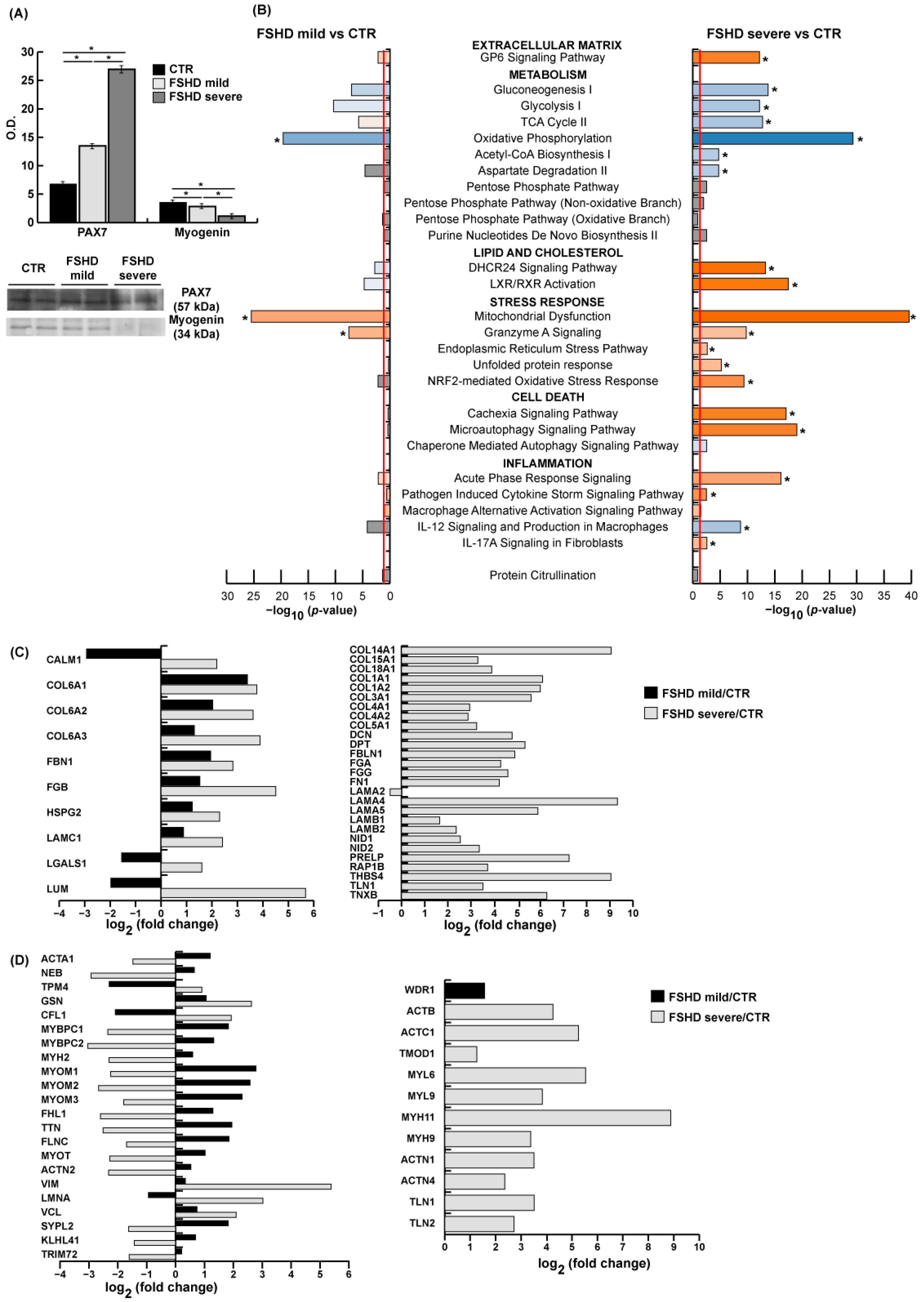 Antioxidants 13 01406 g002
