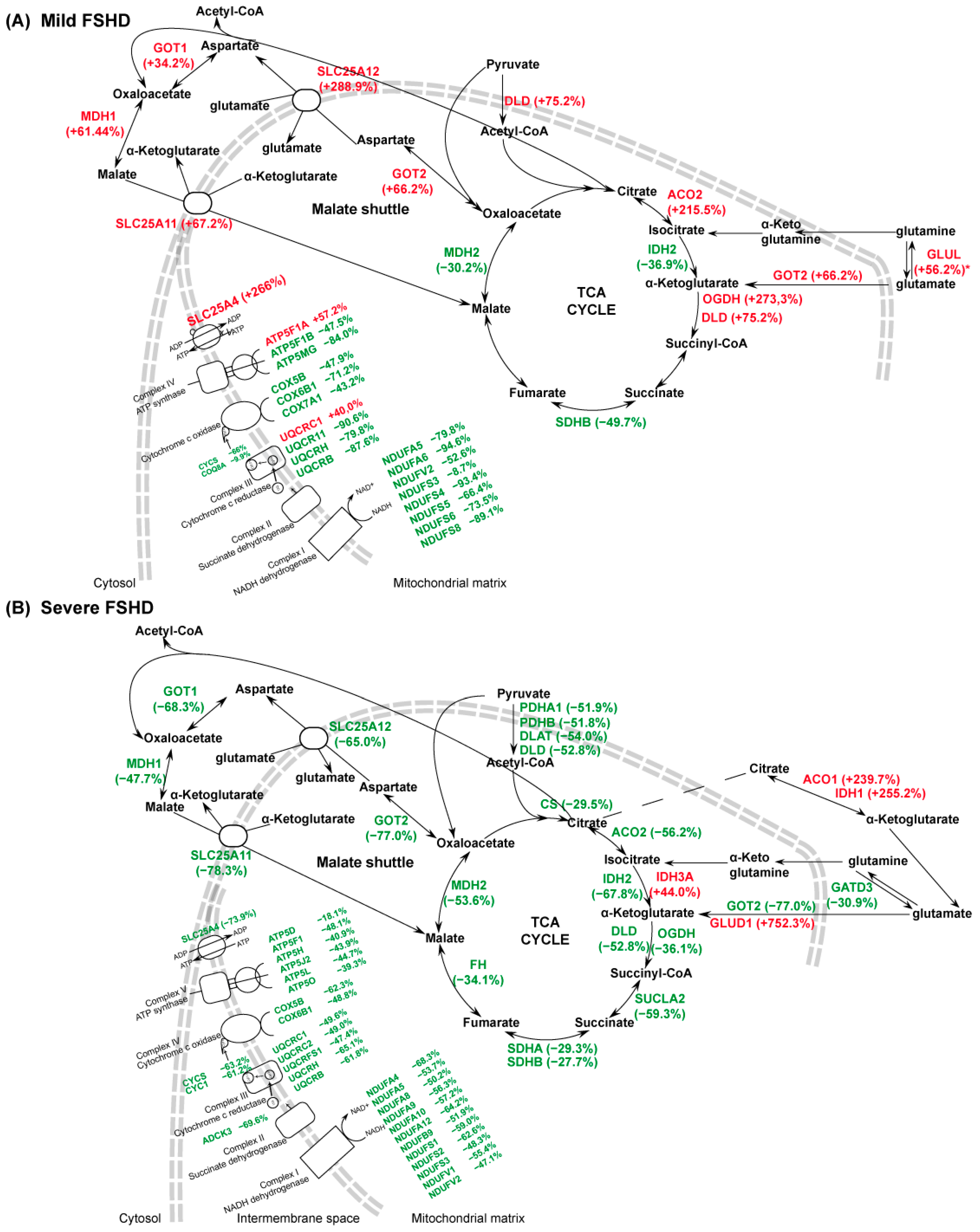 Antioxidants 13 01406 g004