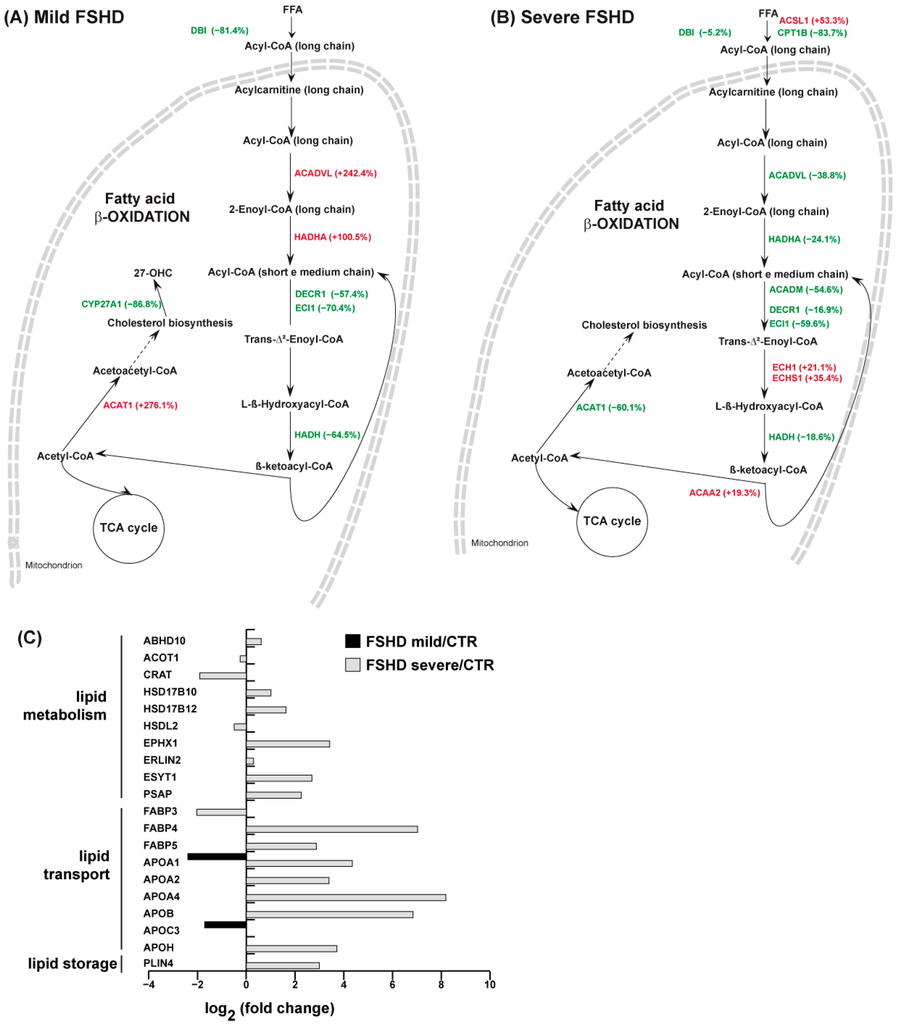 Antioxidants 13 01406 g005
