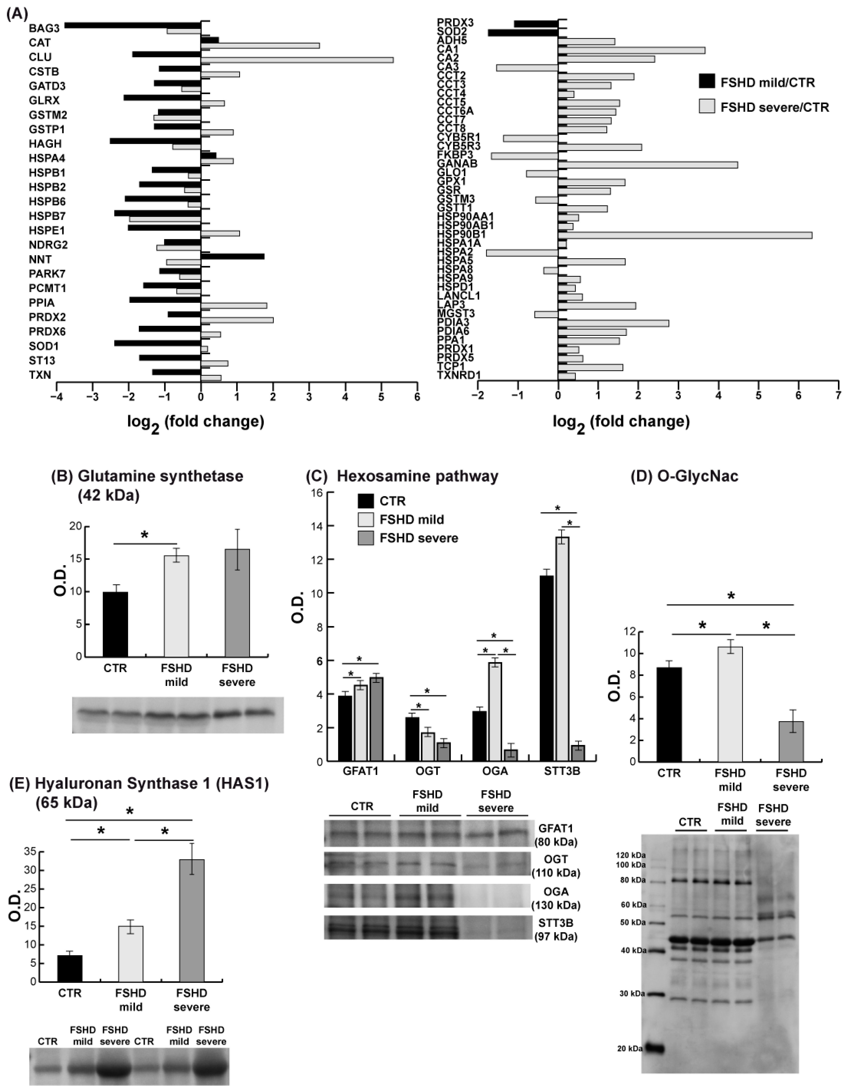 Antioxidants 13 01406 g007