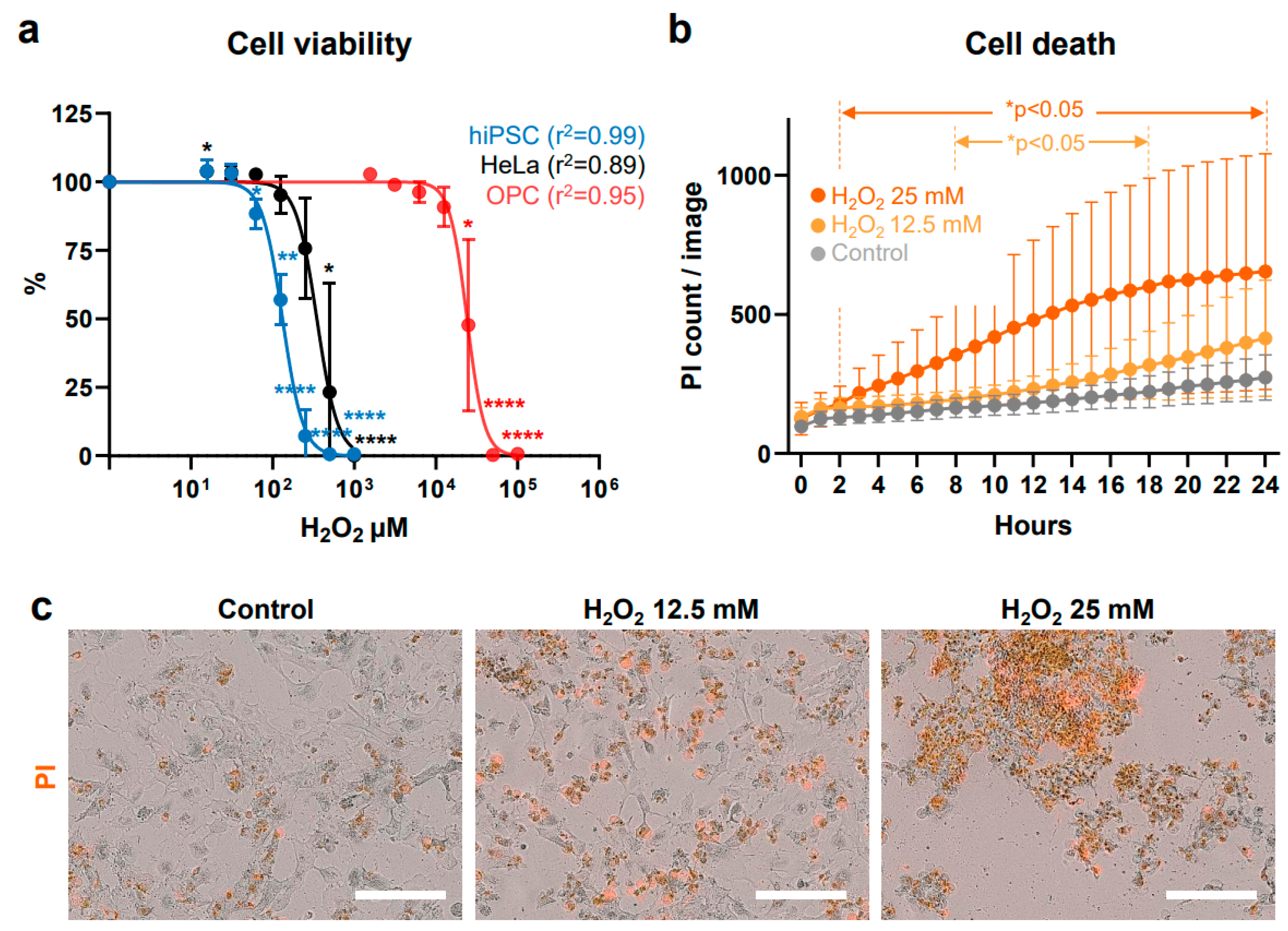 Antioxidants 13 01407 g002
