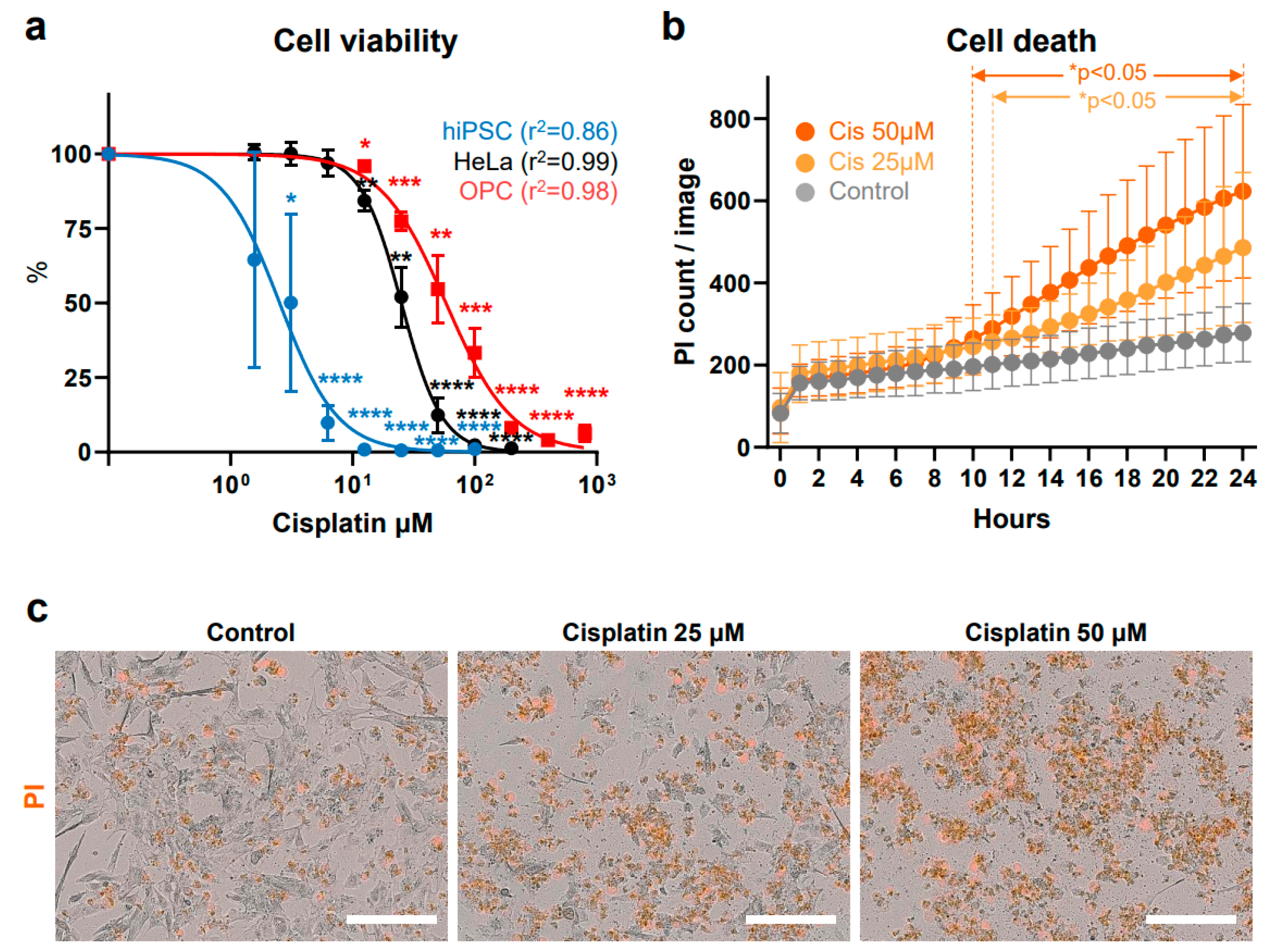 Antioxidants 13 01407 g004
