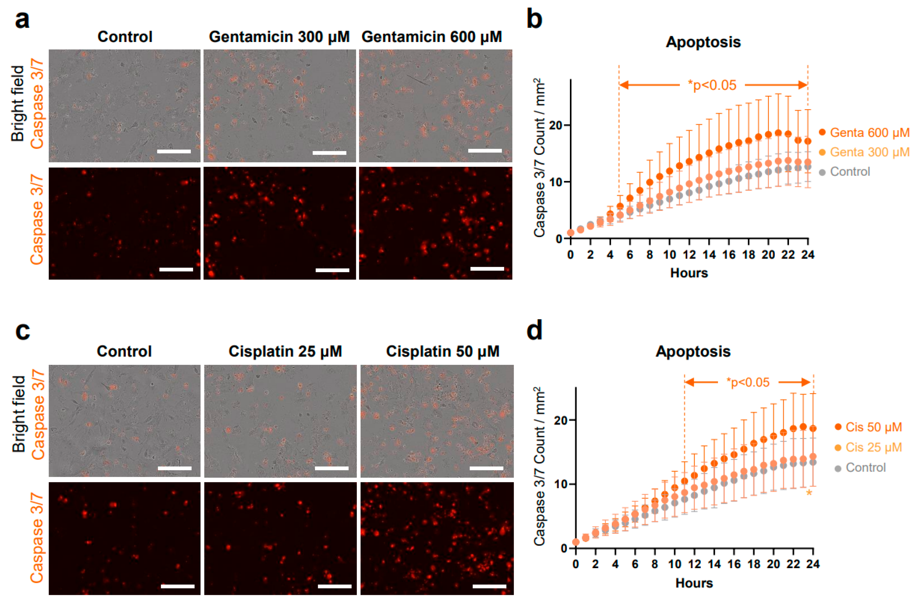 Antioxidants 13 01407 g005