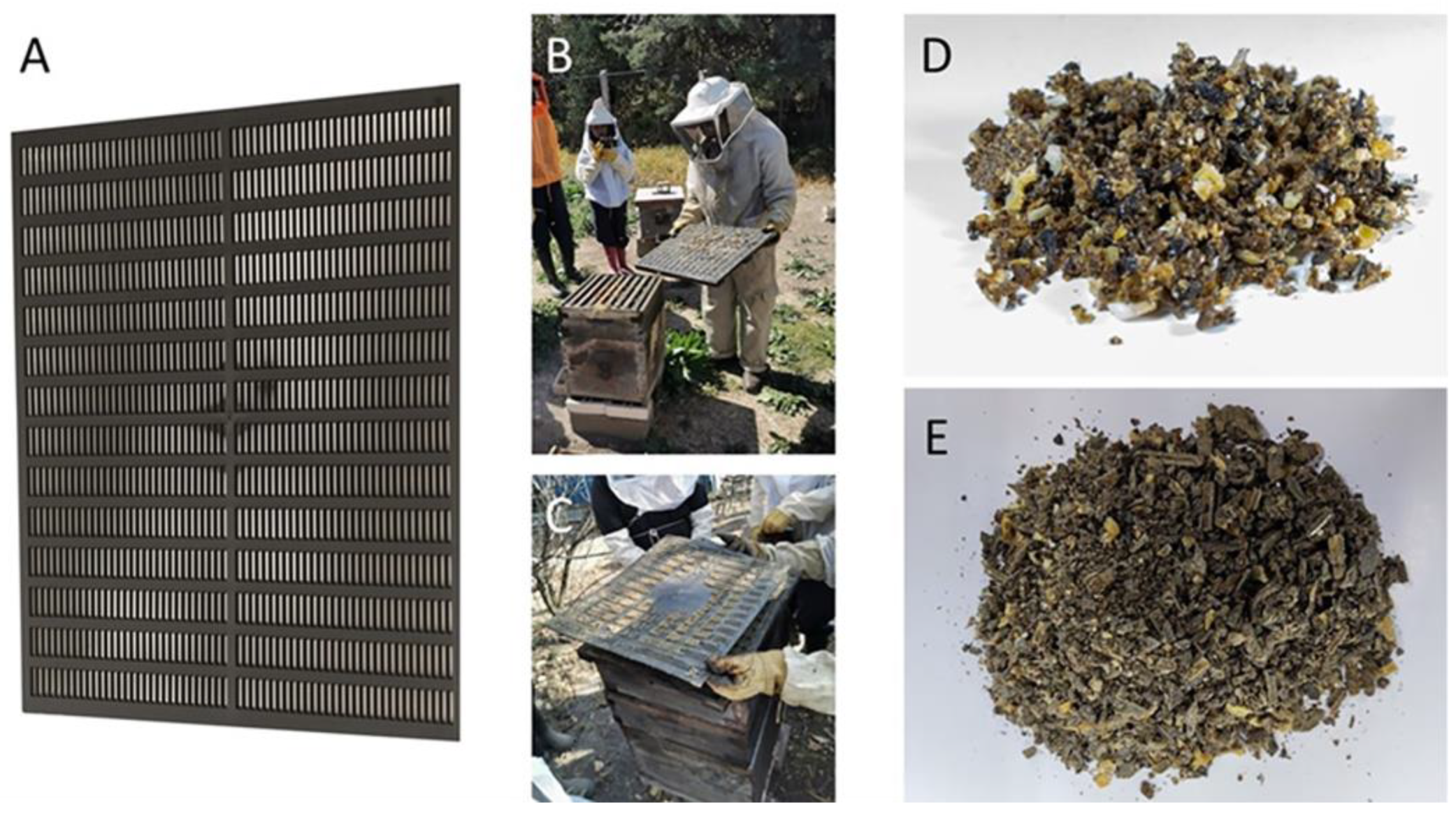 Antioxidants 13 01412 g001