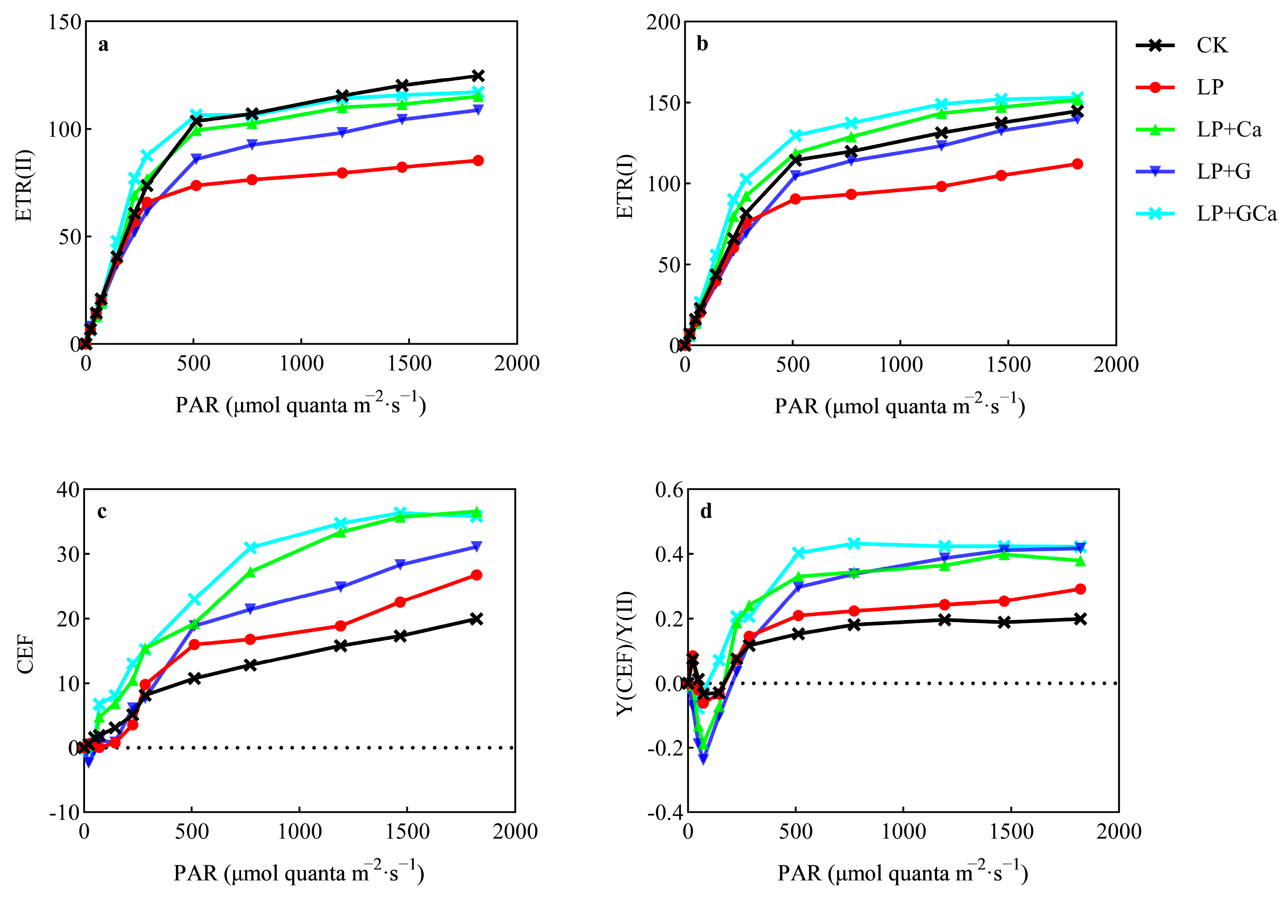 Antioxidants 13 01414 g006