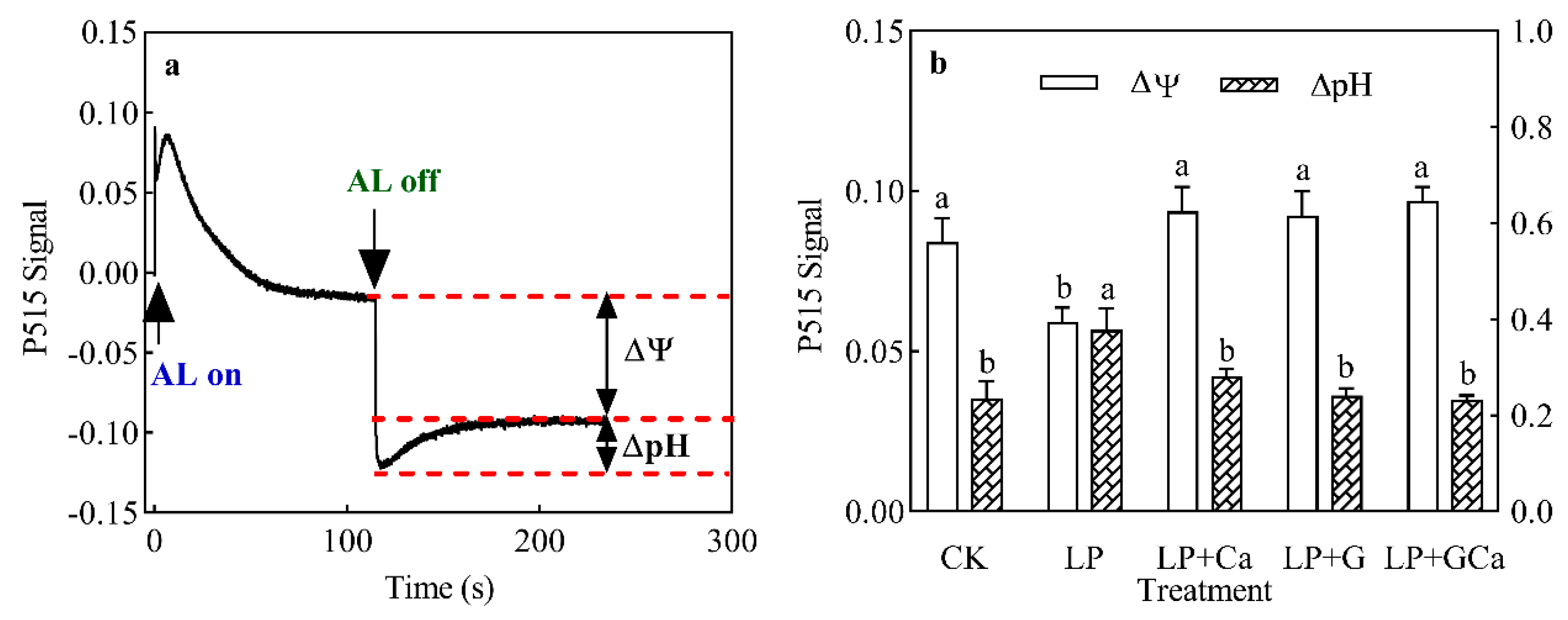 Antioxidants 13 01414 g007