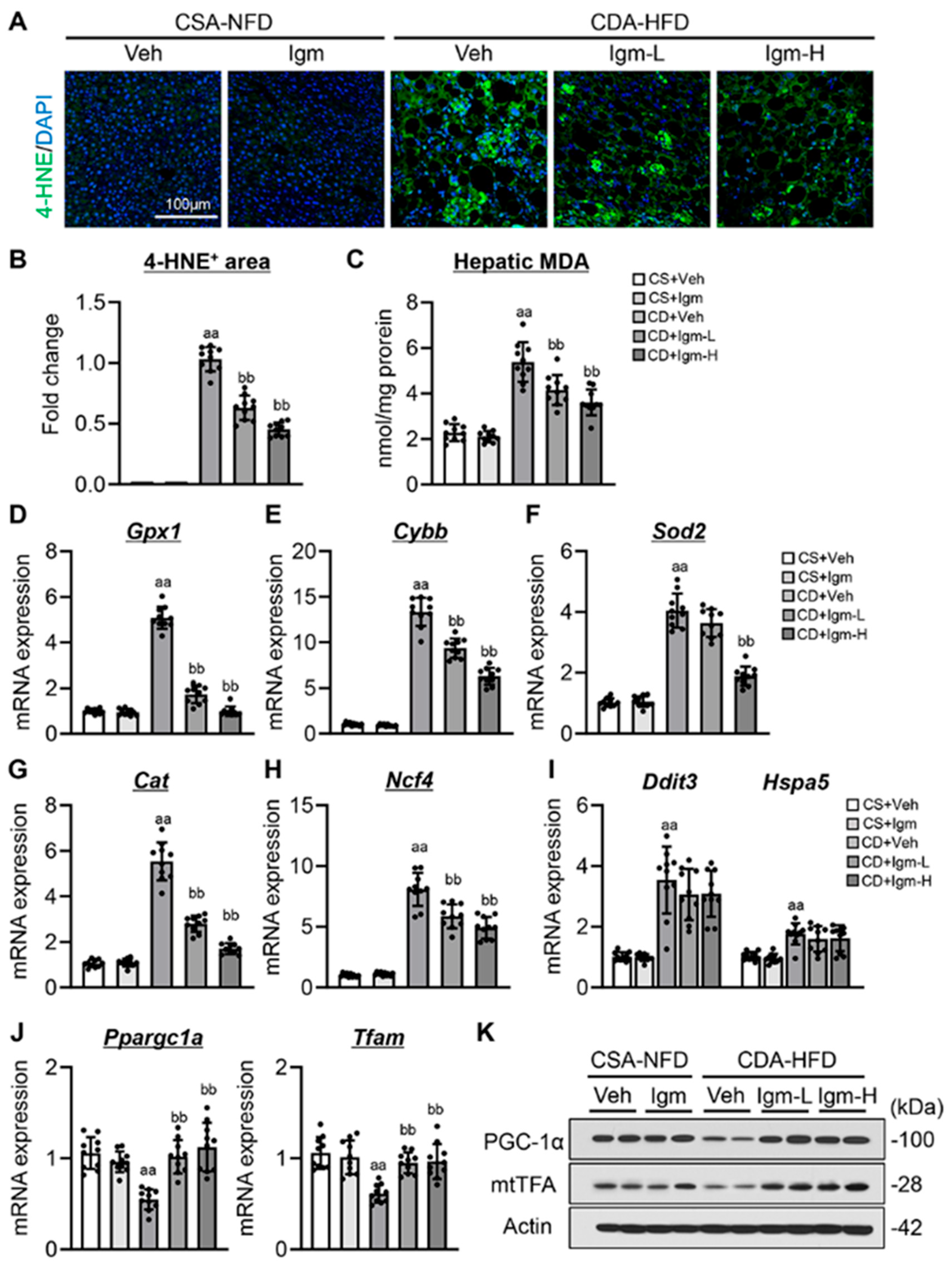 Antioxidants 13 01415 g002