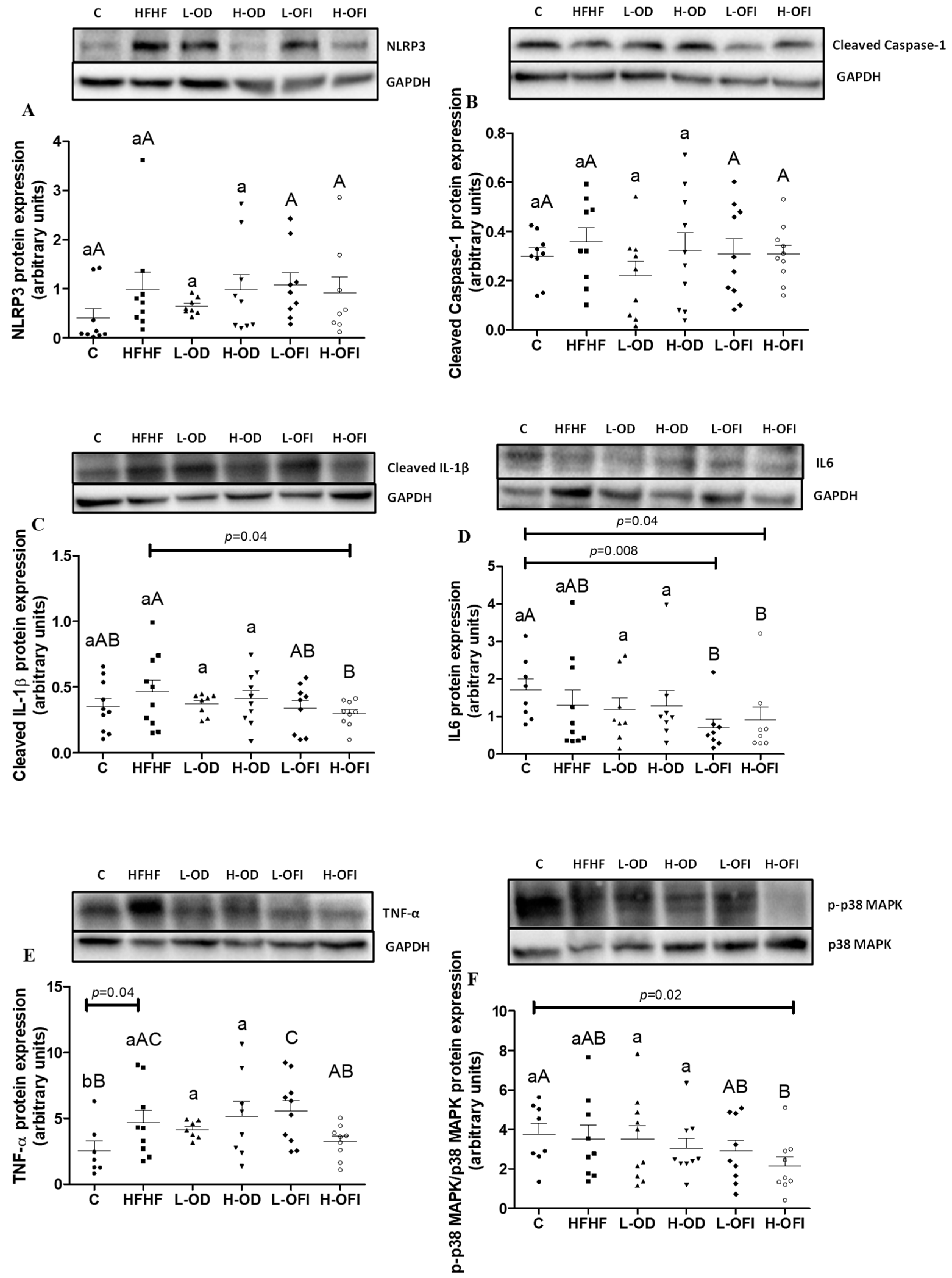 Antioxidants 13 01416 g002