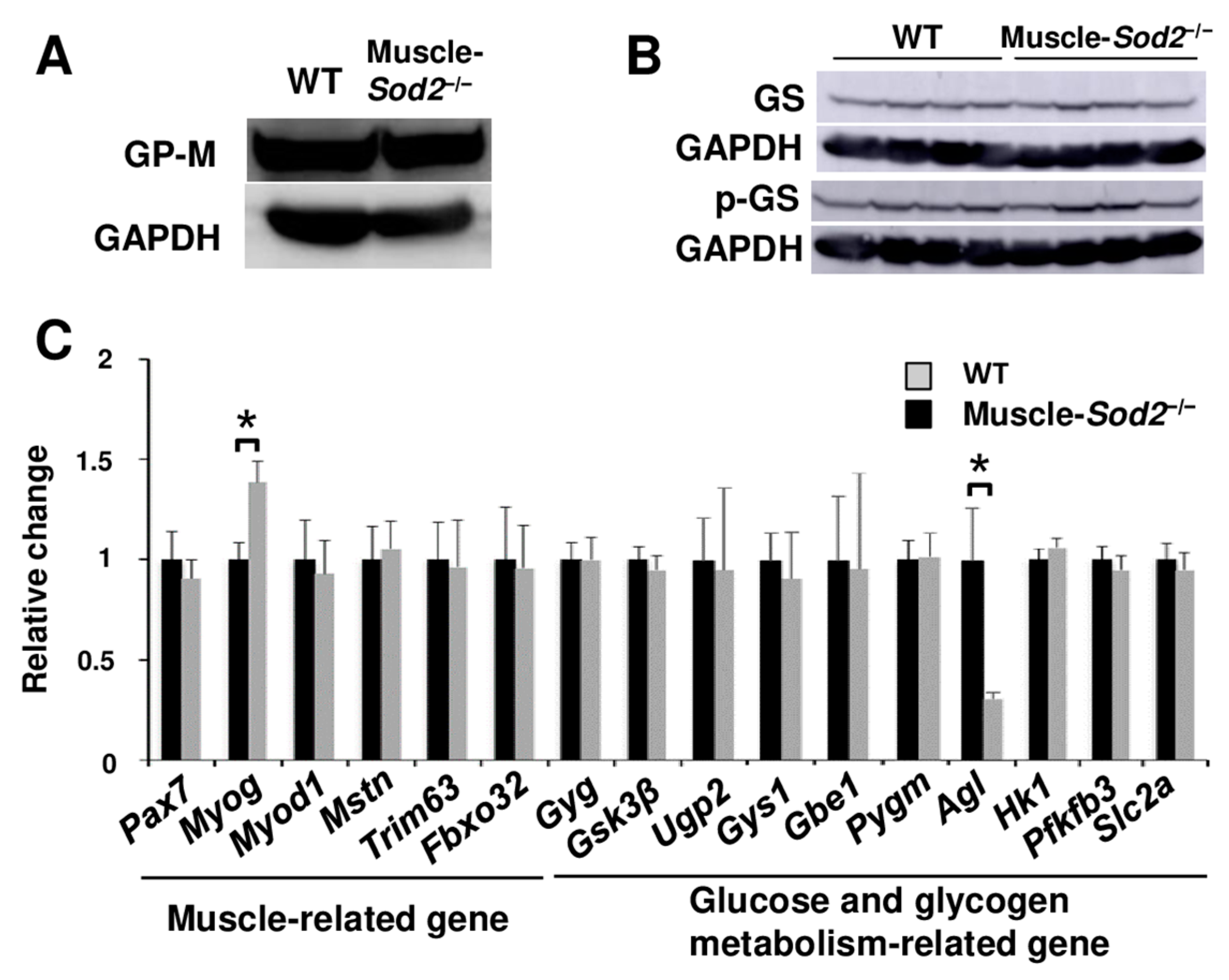 Antioxidants 13 01421 g002