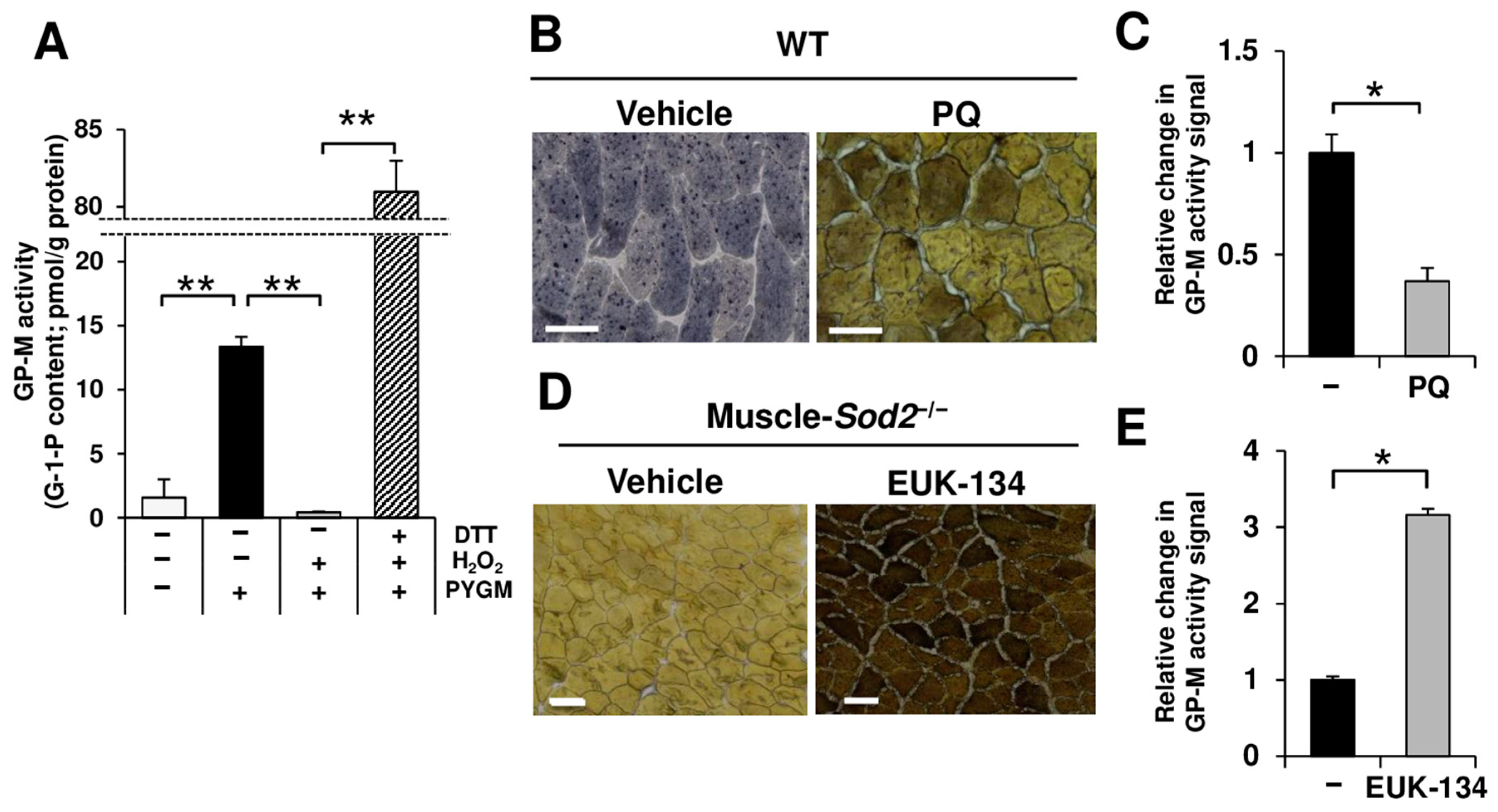 Antioxidants 13 01421 g003