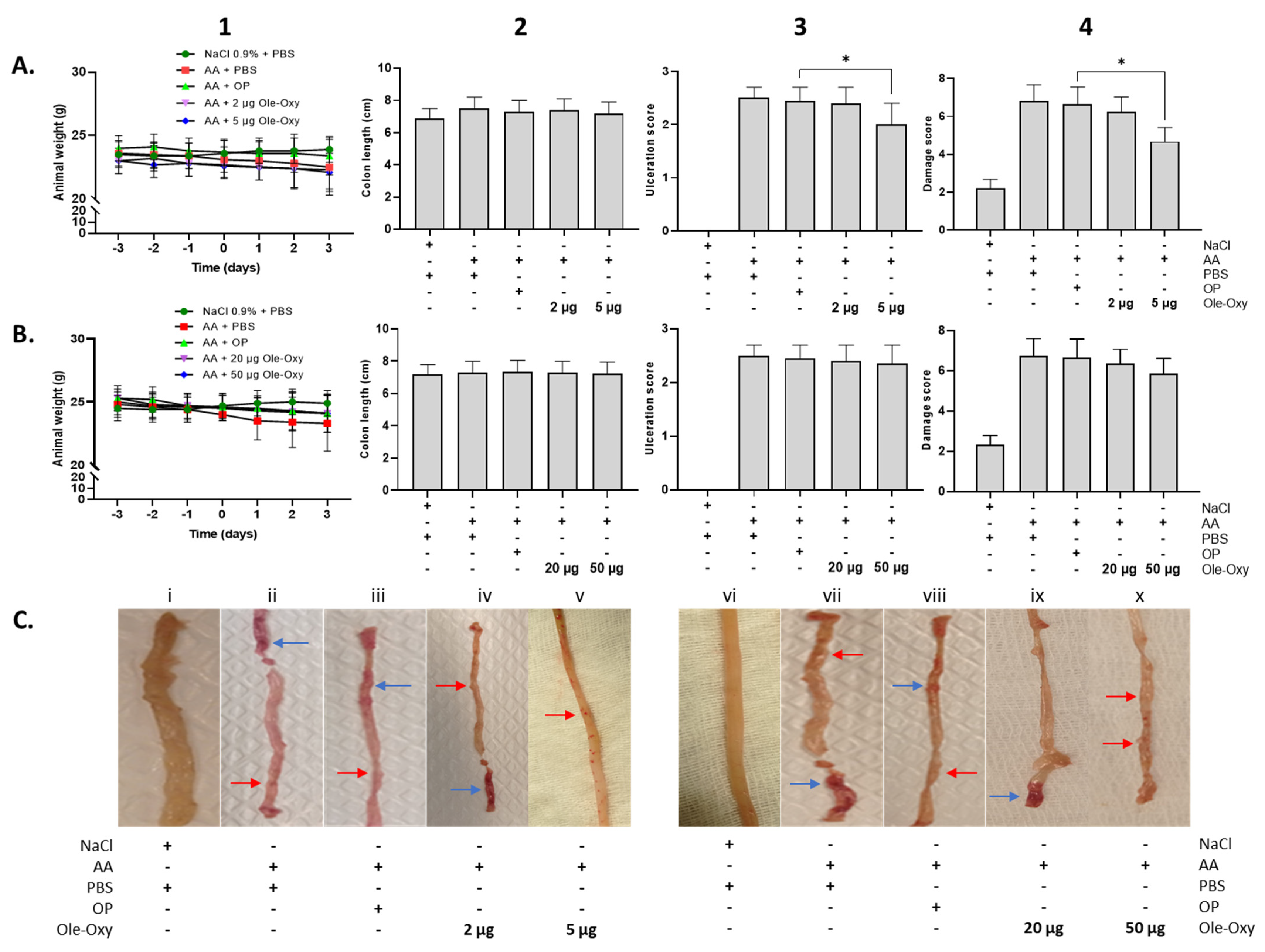 Antioxidants 13 01422 g006