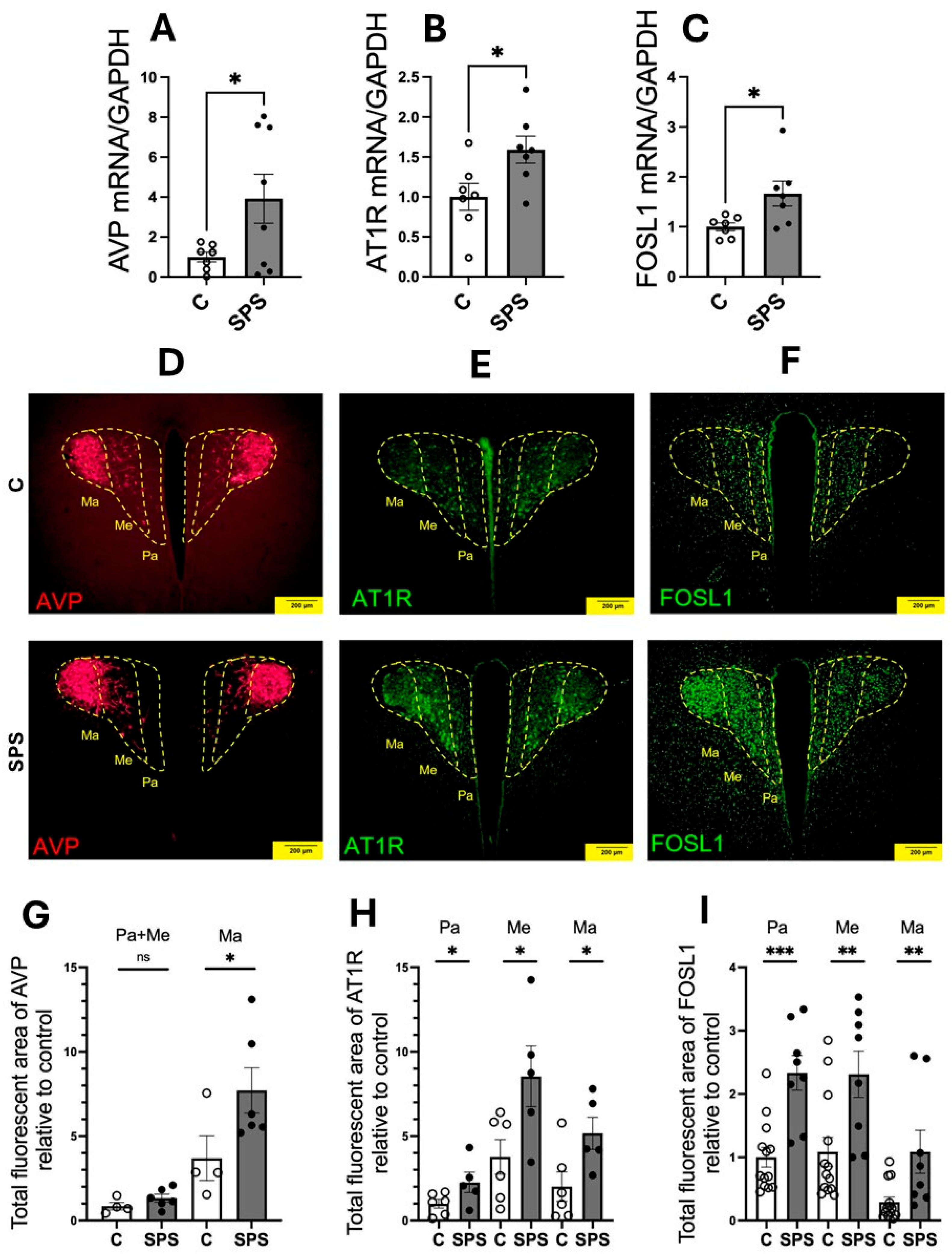Antioxidants 13 01423 g002