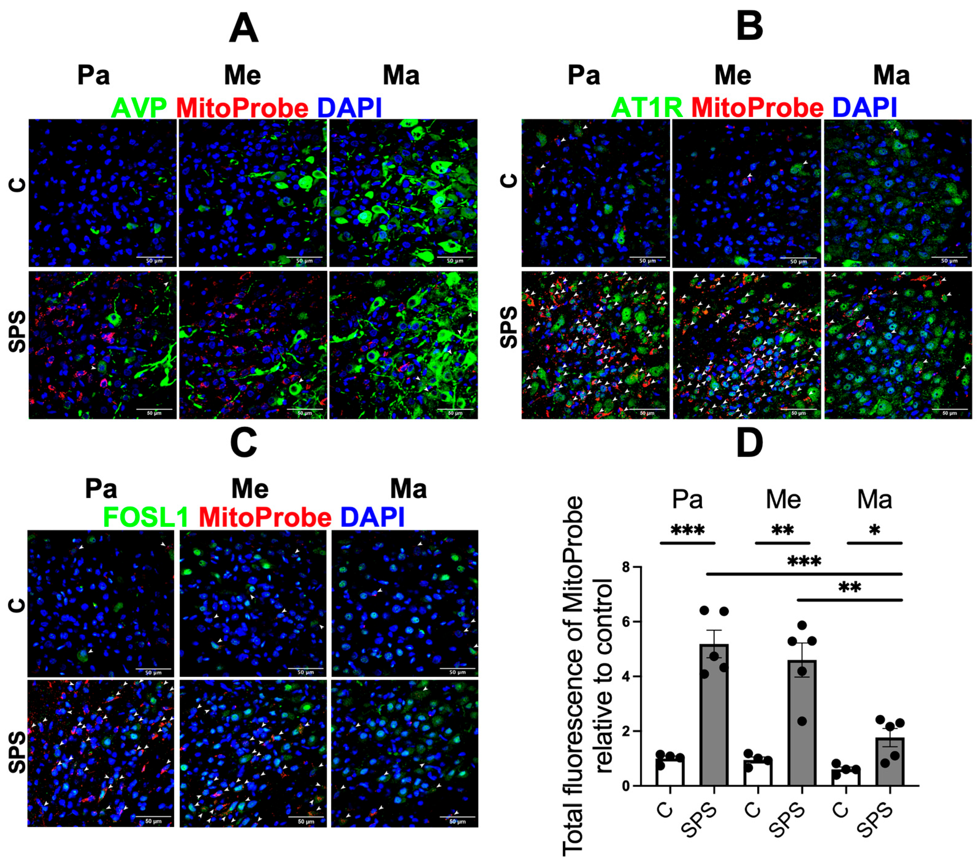 Antioxidants 13 01423 g003