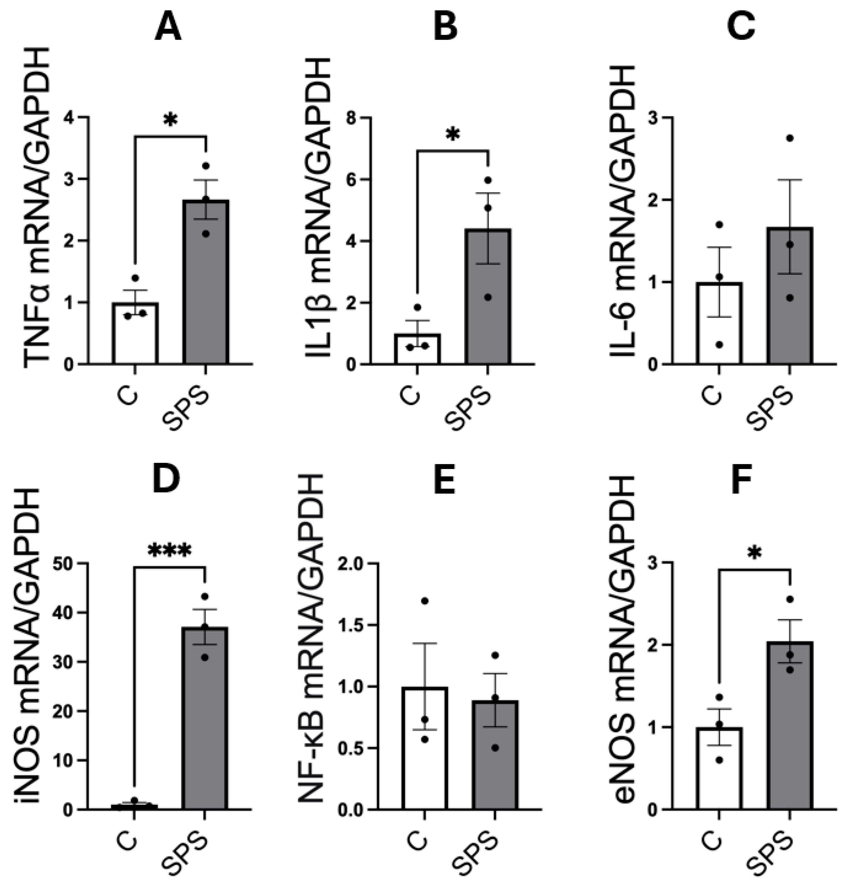 Antioxidants 13 01423 g004