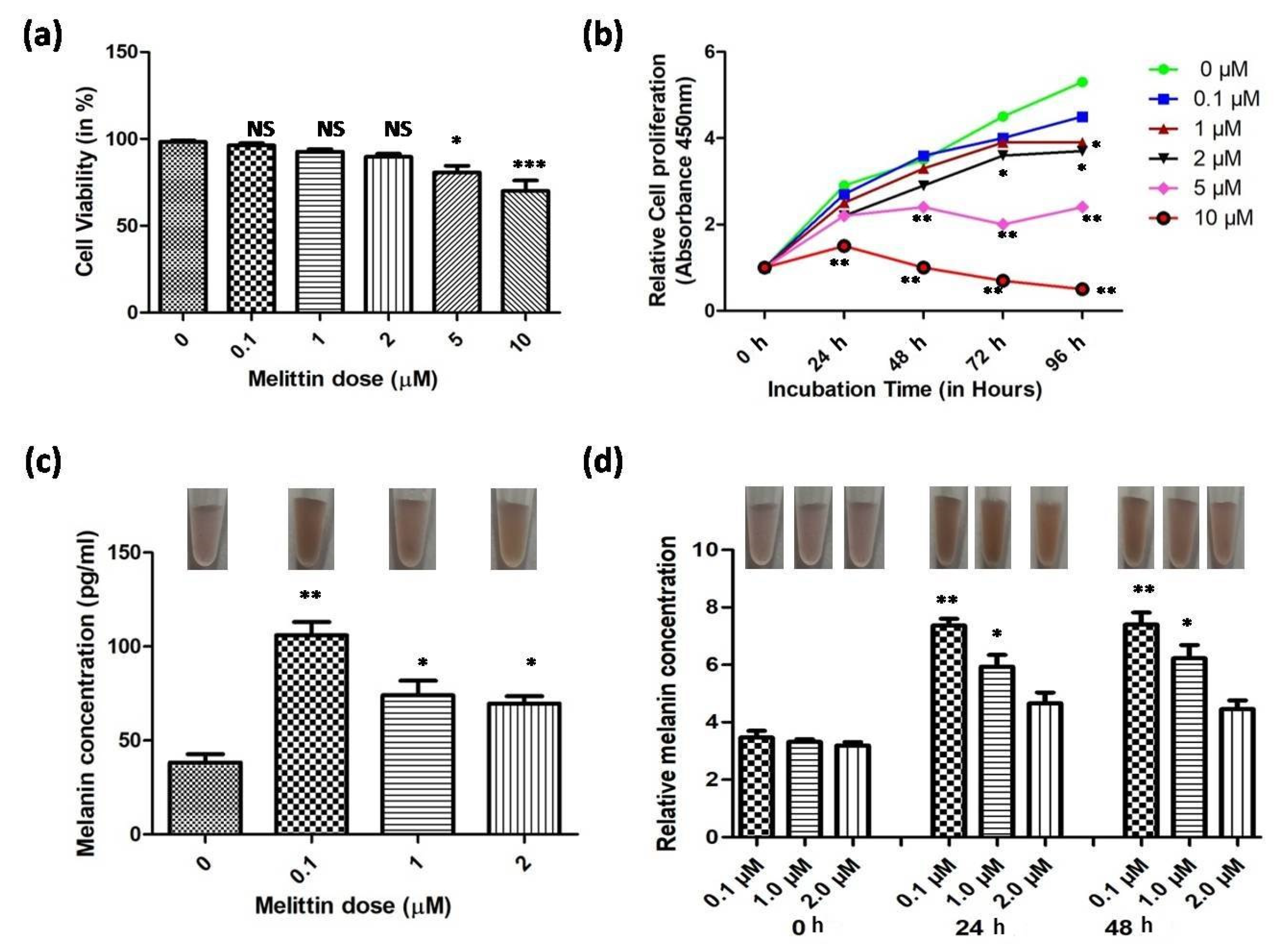 Low-Dose Melittin Enhanced Pigment Production Through the