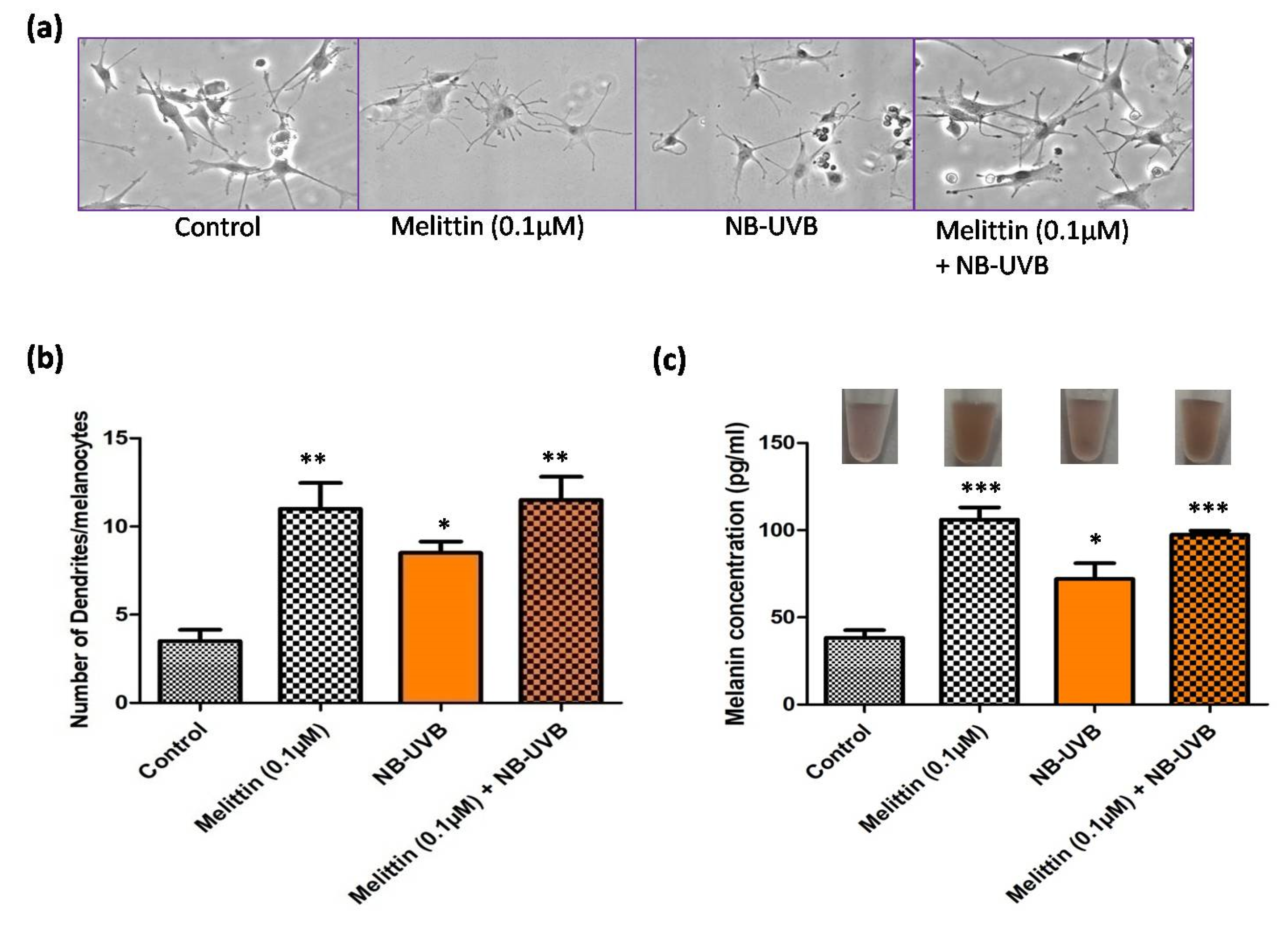 Low-Dose Melittin Enhanced Pigment Production Through the