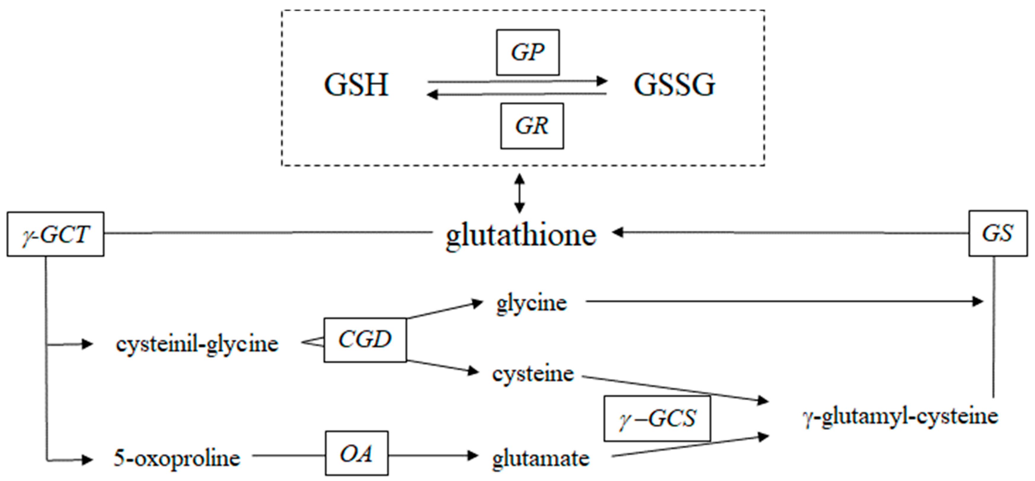 Antioxidants 13 01430 g001