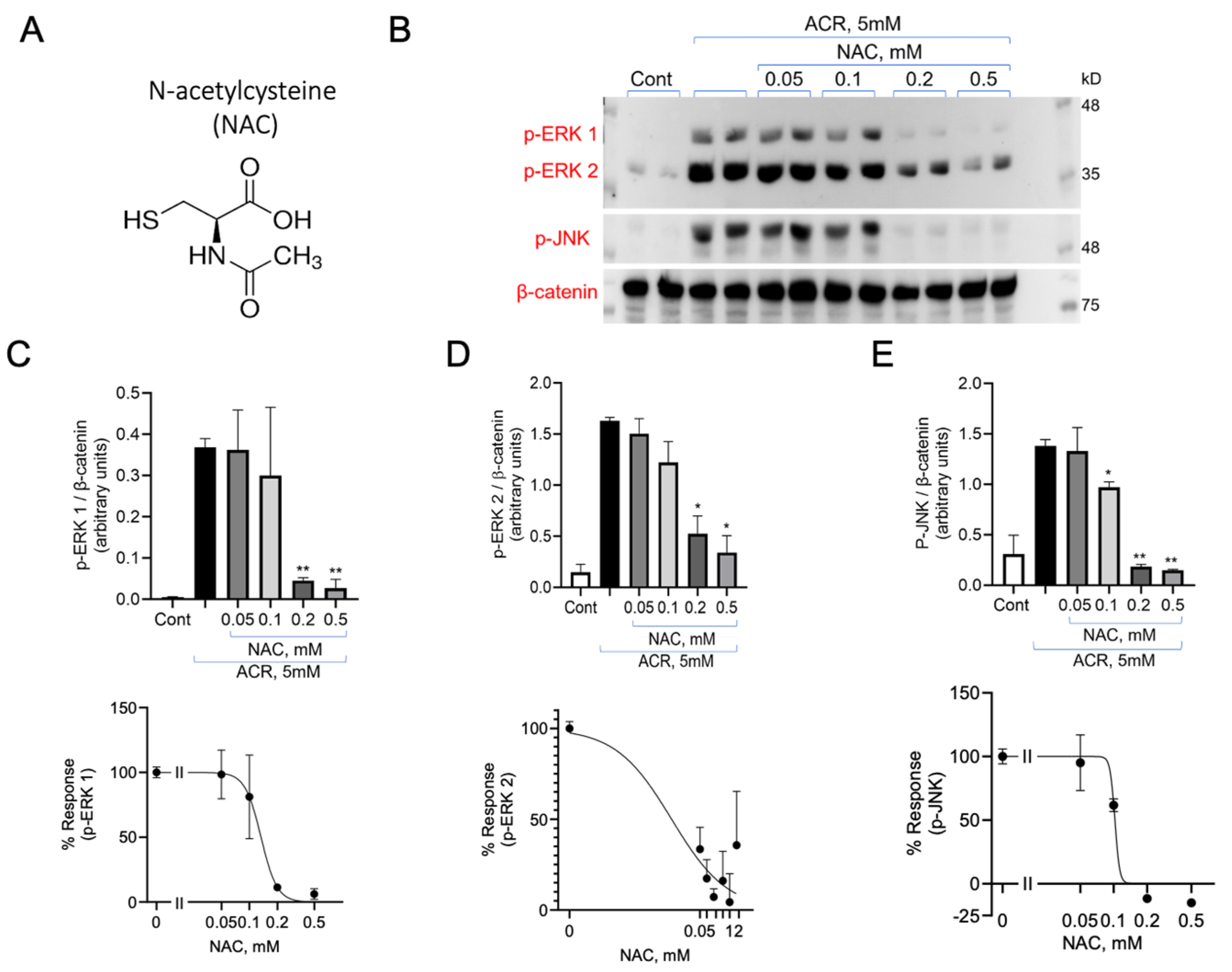 Antioxidants 13 01431 g003