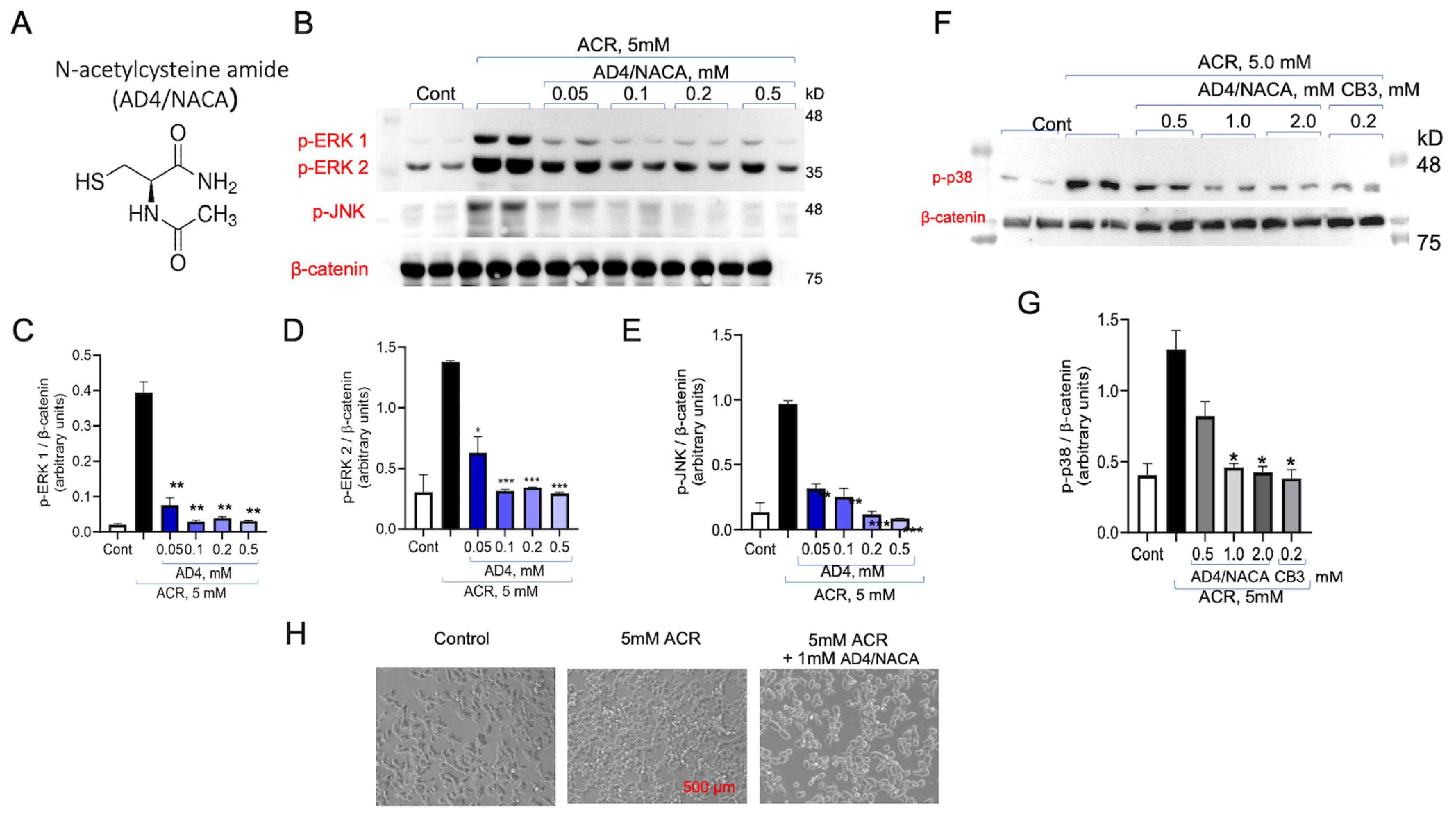 Antioxidants 13 01431 g004