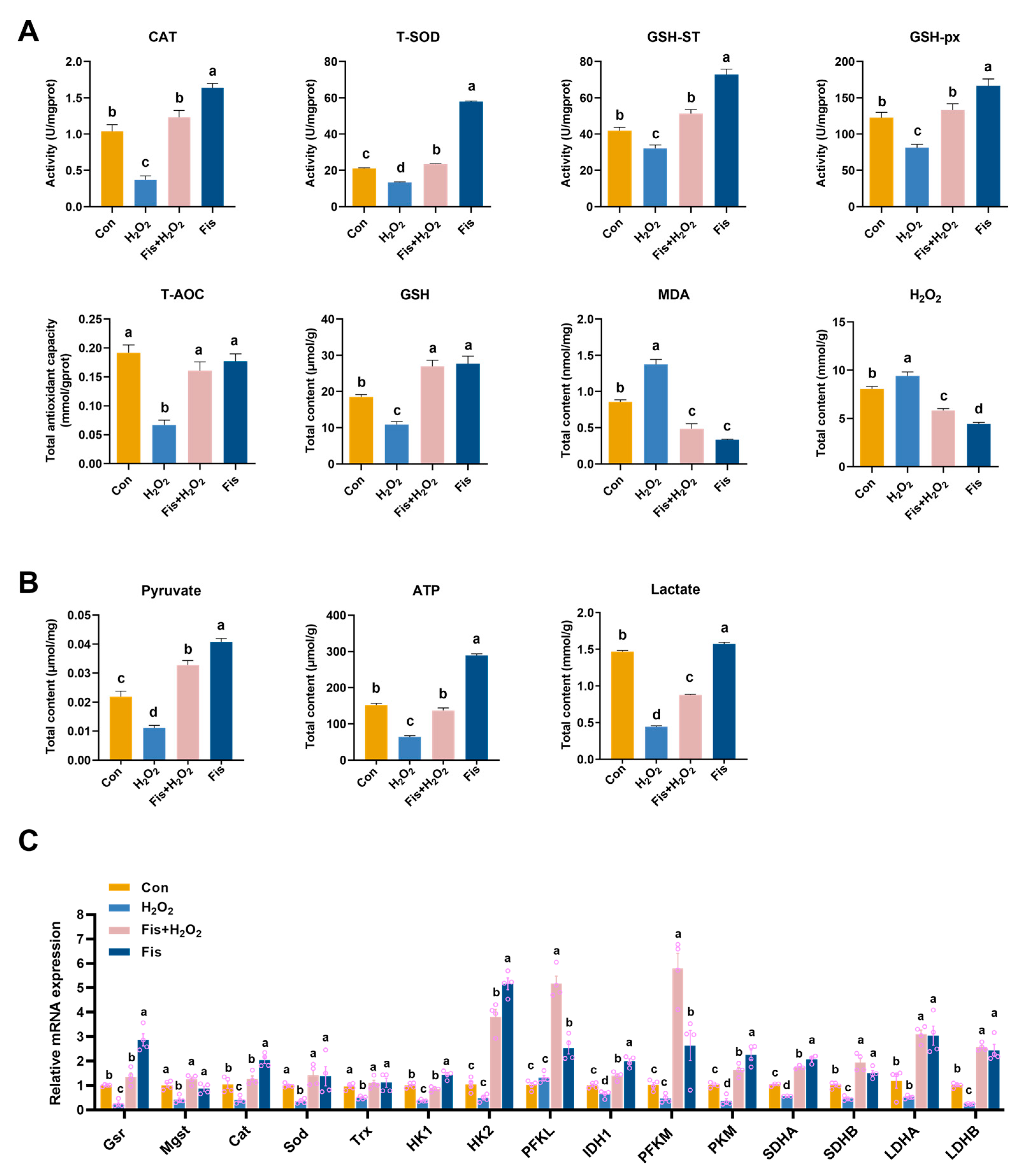 Antioxidants 13 01432 g005