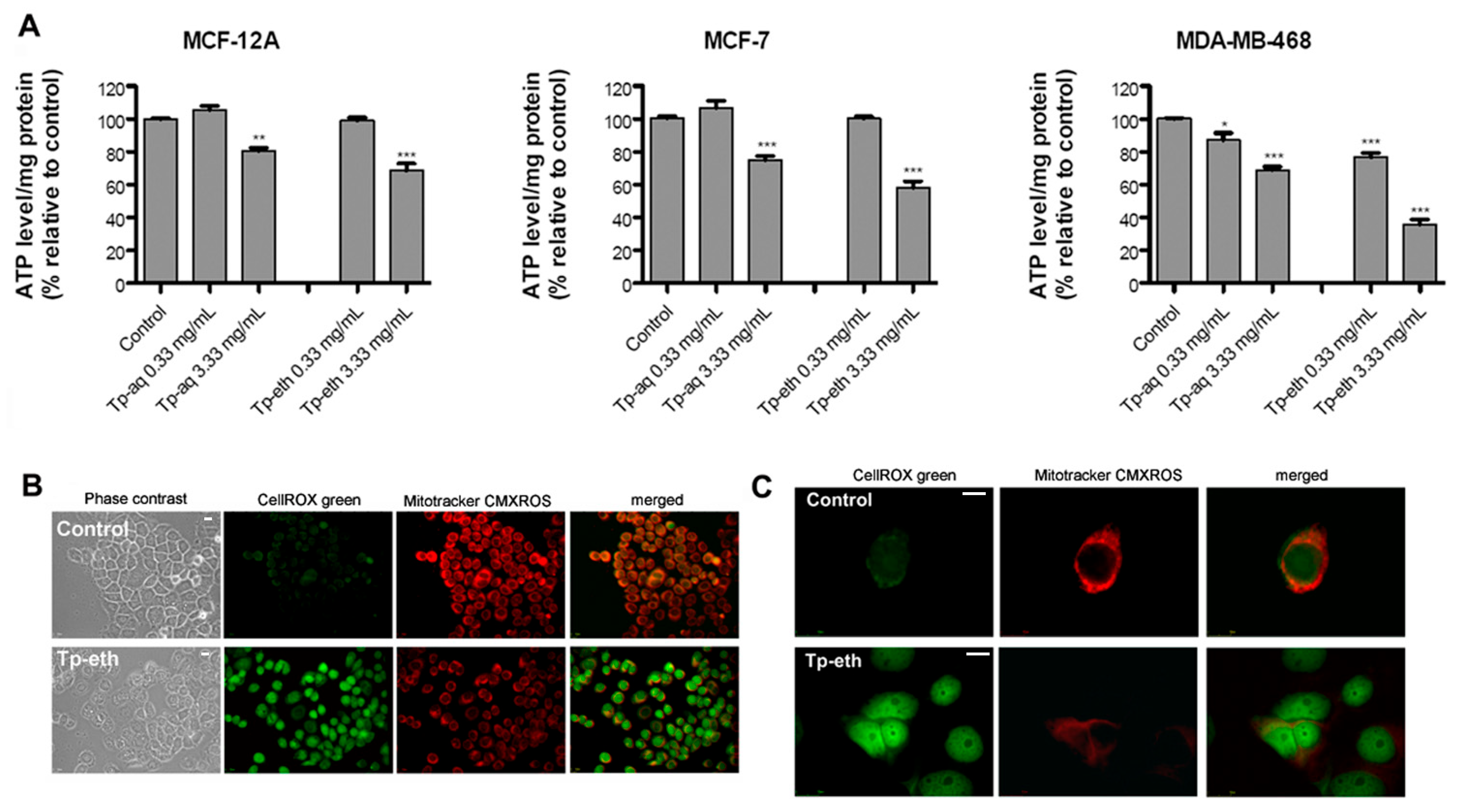 Antioxidants 13 01435 g007