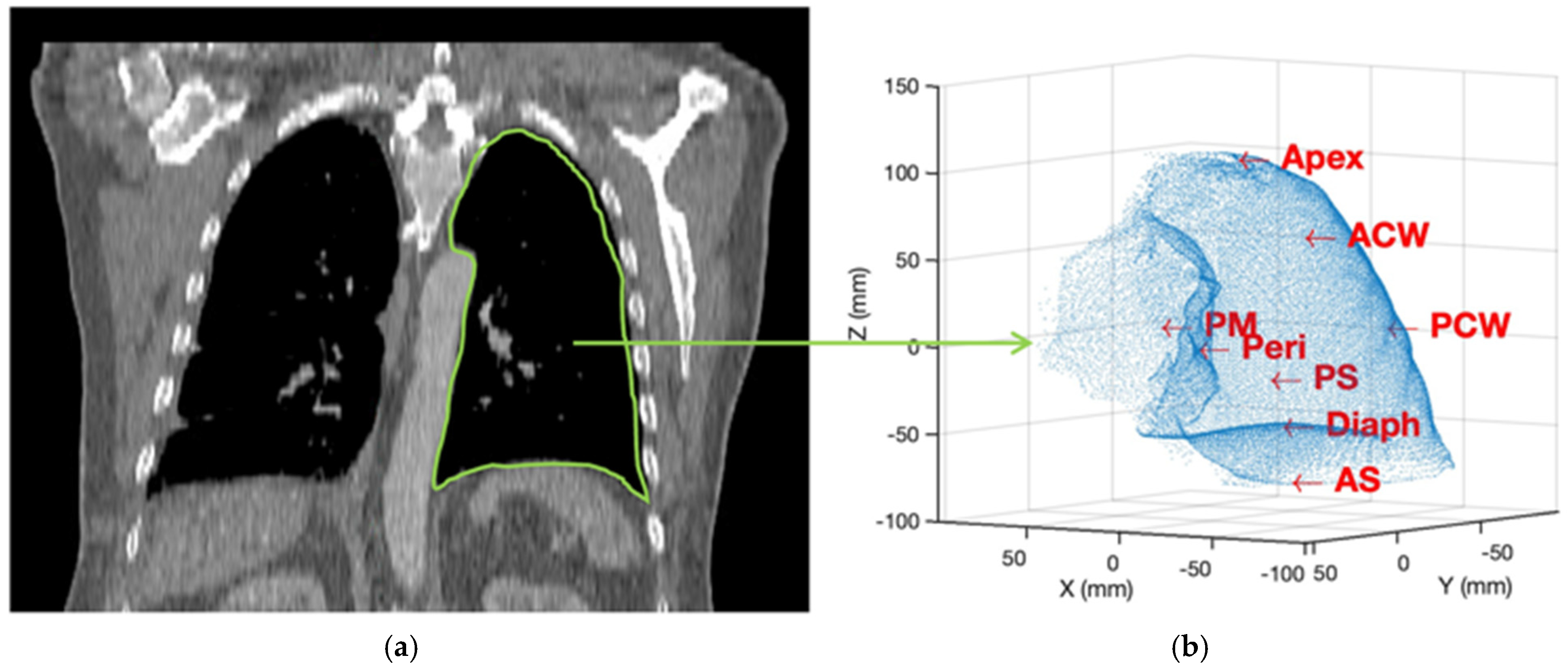Antioxidants 13 01436 g002