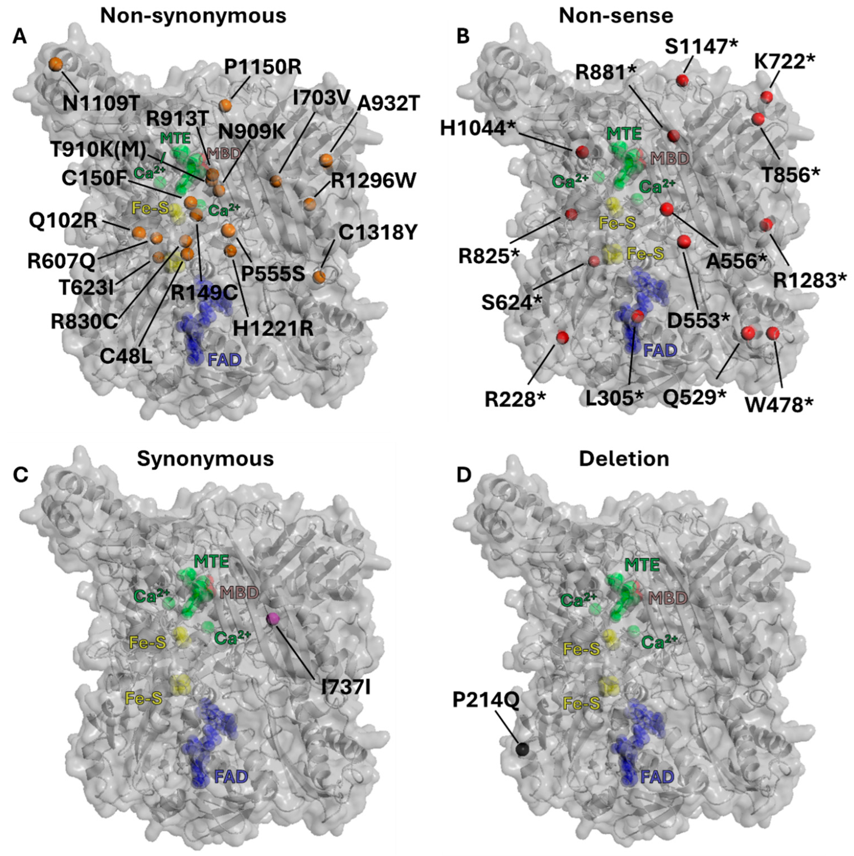 Antioxidants 13 01439 g003 Antioxidants 13 01439 g003