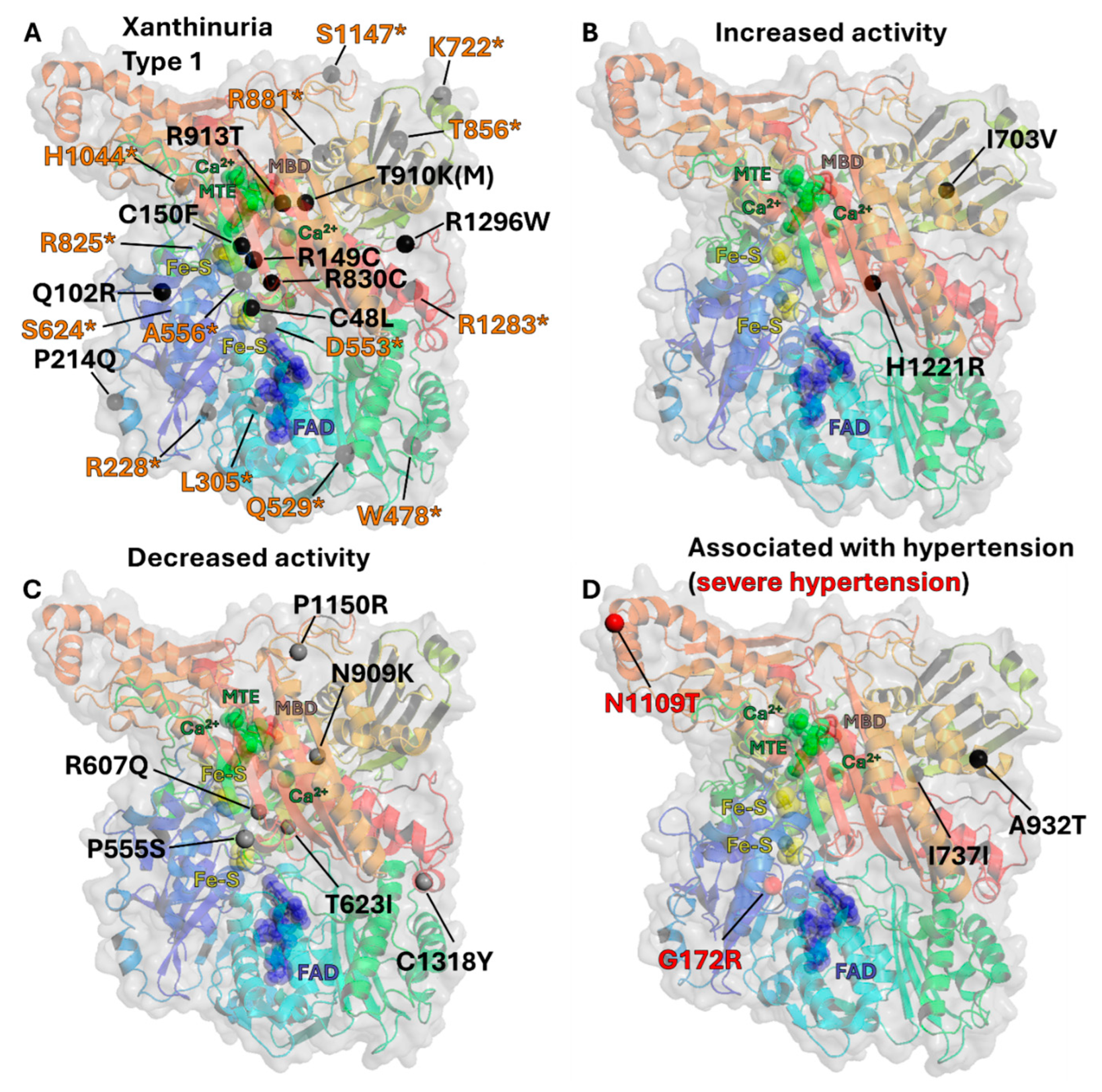 Antioxidants 13 01439 g004 Antioxidants 13 01439 g004